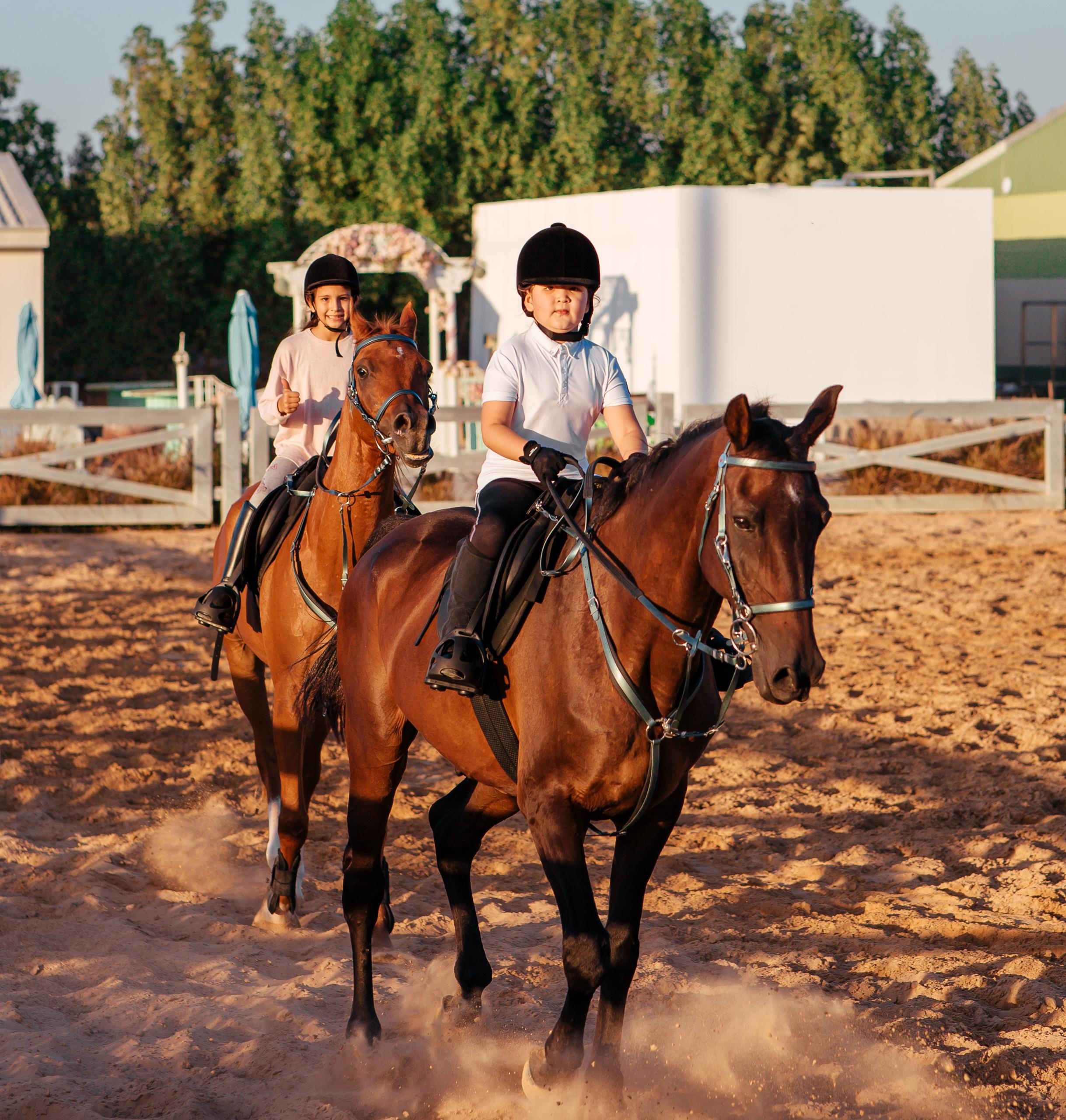 Horse photo session Dubai. Photographer in Dubai Dmitry Gromov