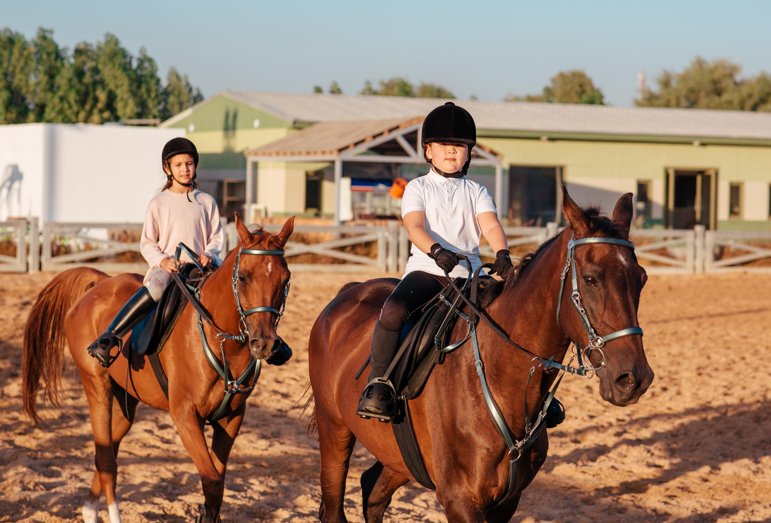 Horse photo session Dubai. Photographer in Dubai Dmitry Gromov