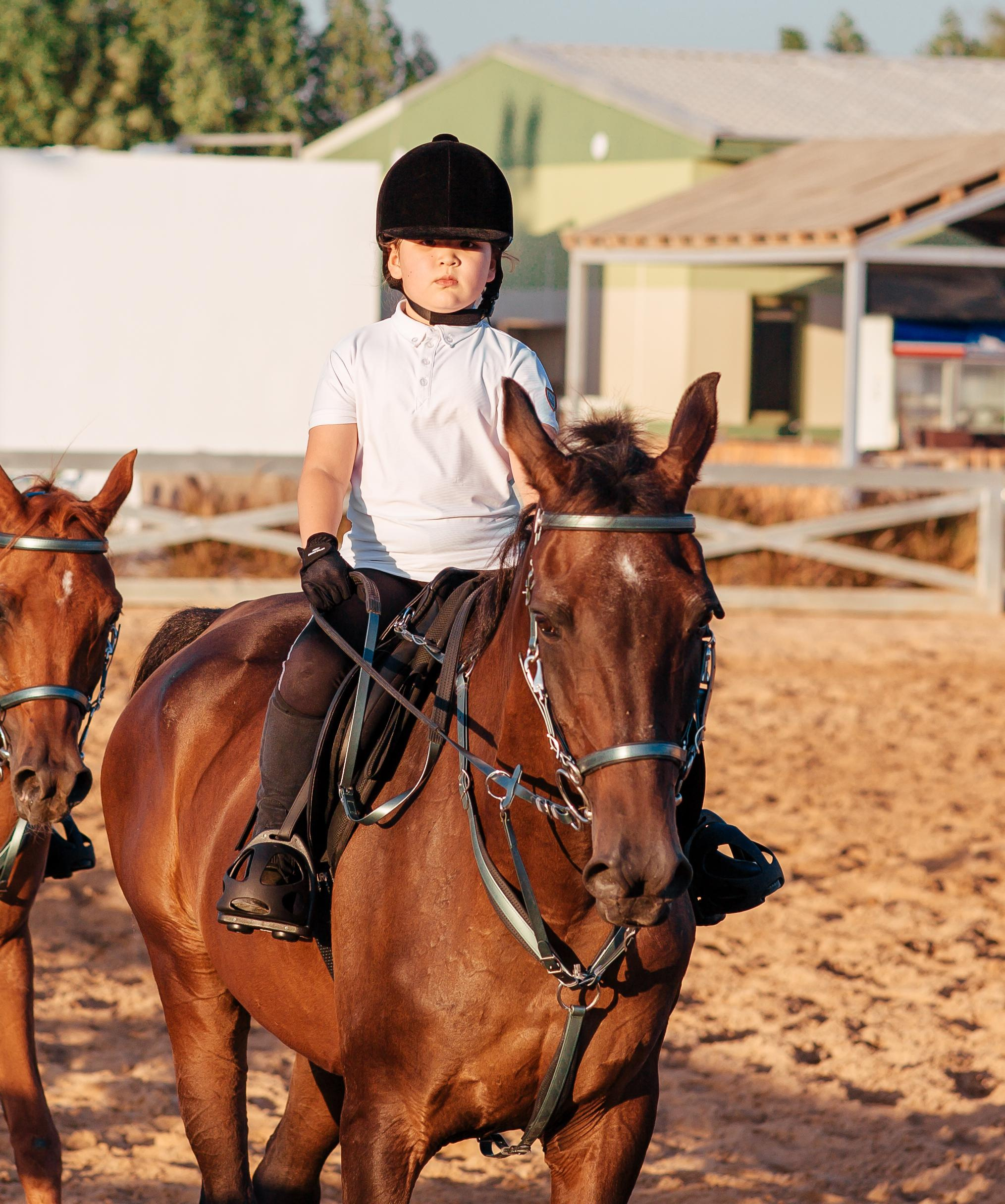 Horse photo session Dubai. Photographer in Dubai Dmitry Gromov