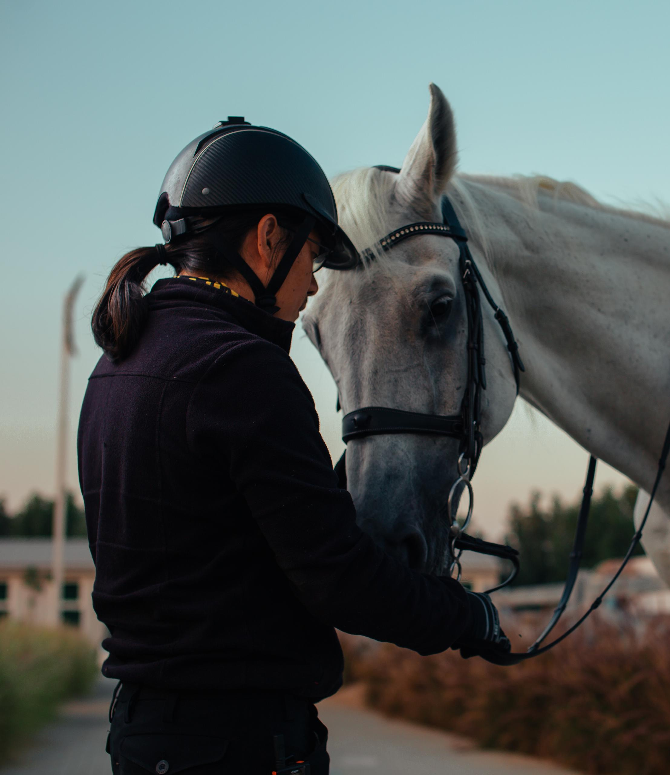 Horse photo session Dubai. Photographer in Dubai Dmitry Gromov