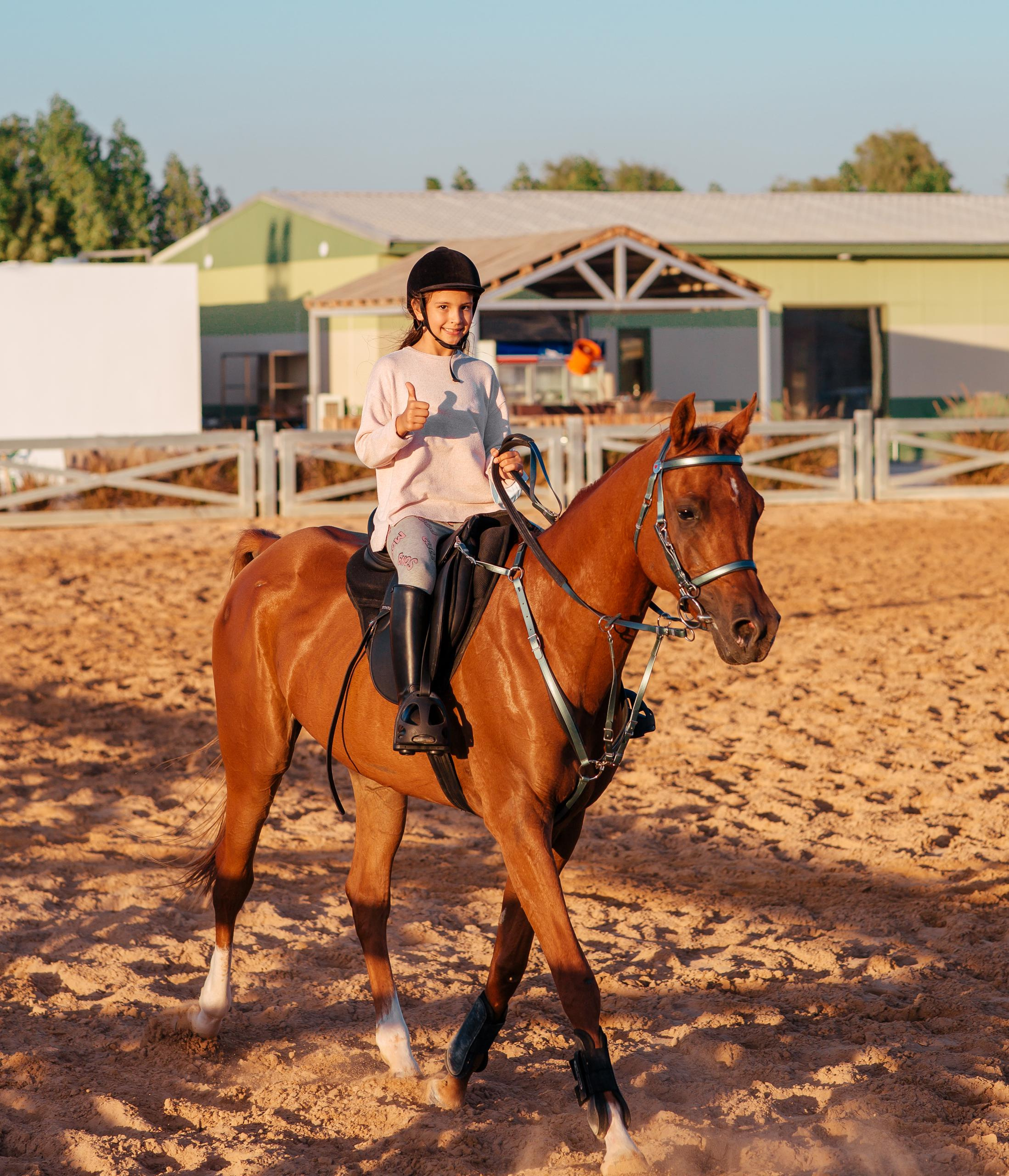 Horse photo session Dubai. Photographer in Dubai Dmitry Gromov