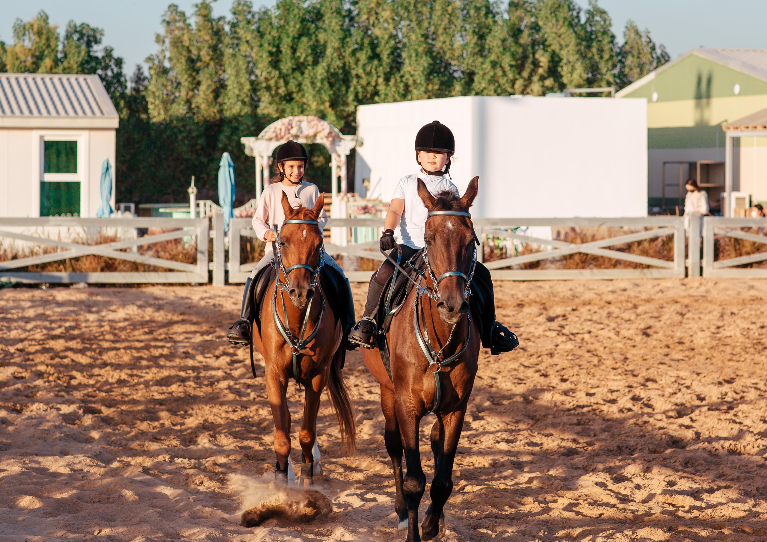 Horse photo session Dubai. Photographer in Dubai Dmitry Gromov