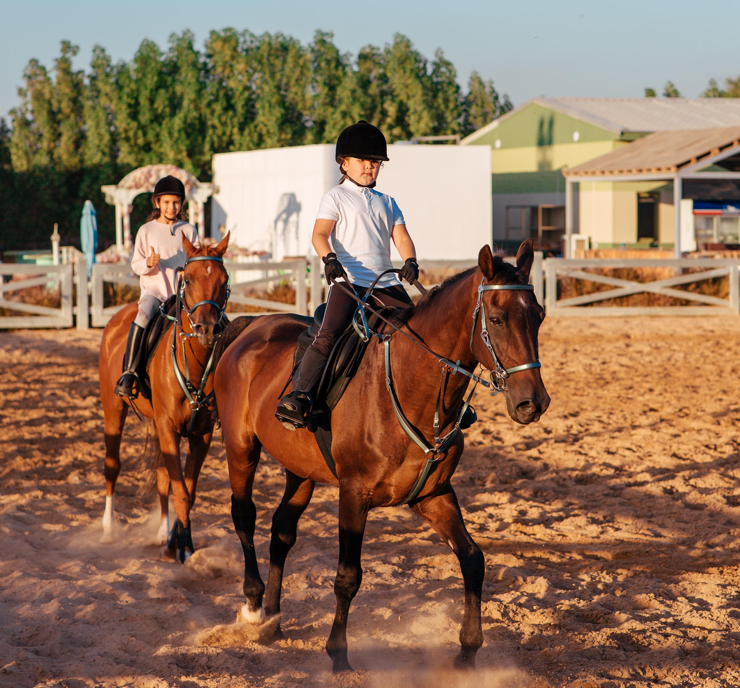 Horse photo session Dubai. Photographer in Dubai Dmitry Gromov