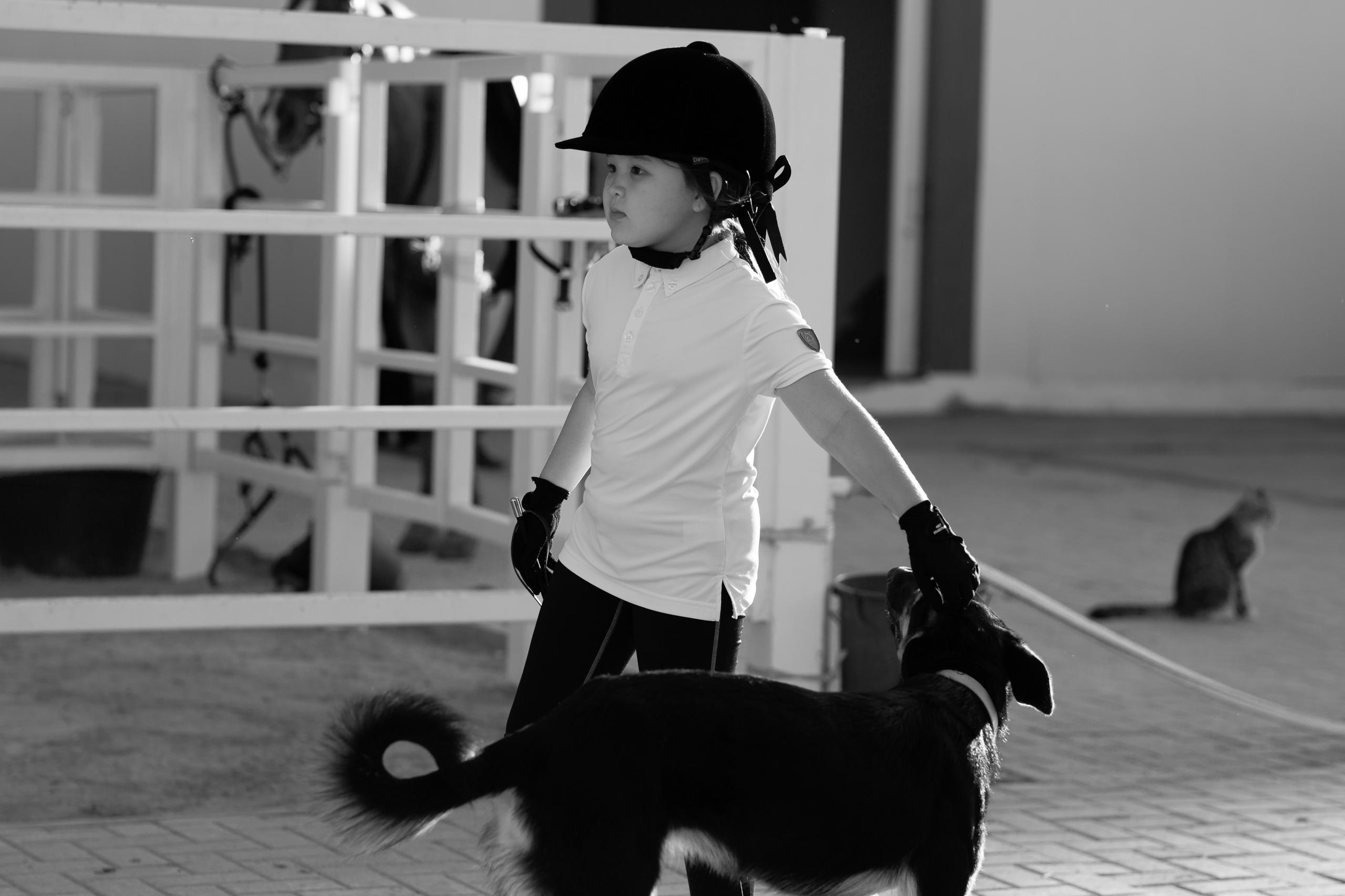 Horse photo session Dubai. Photographer in Dubai Dmitry Gromov