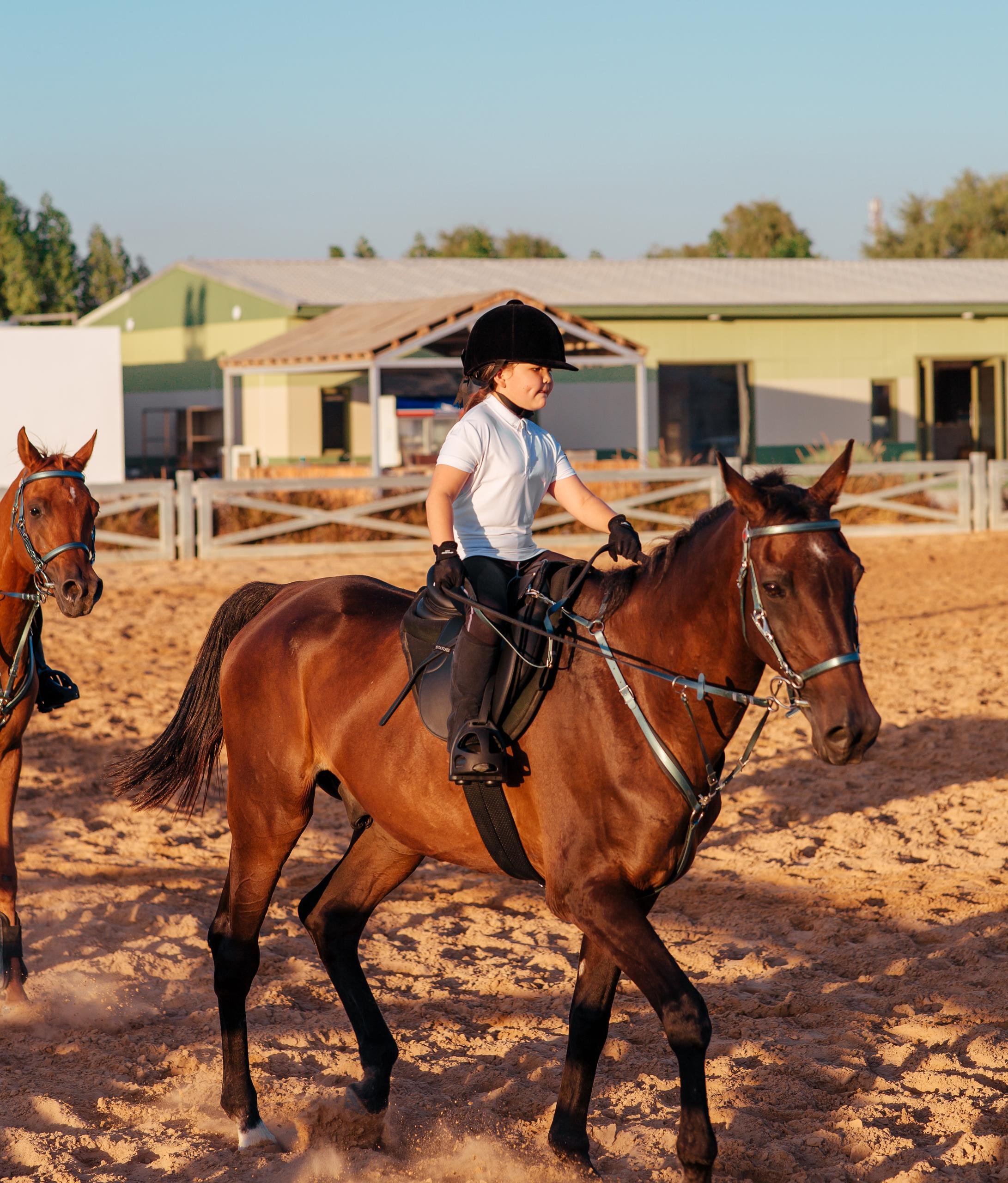 Horse photo session Dubai. Photographer in Dubai Dmitry Gromov