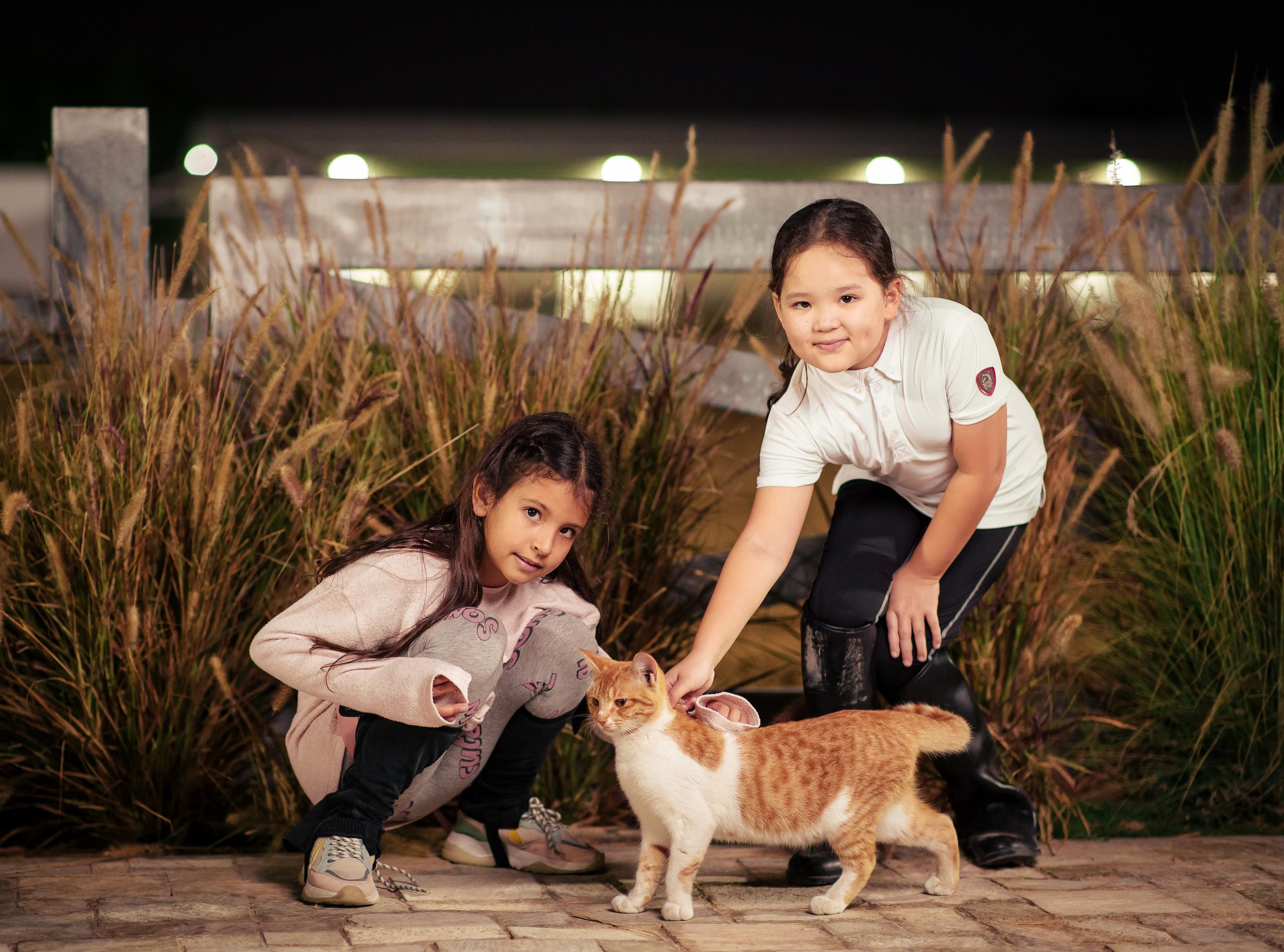 Horse photo session Dubai. Photographer in Dubai Dmitry Gromov