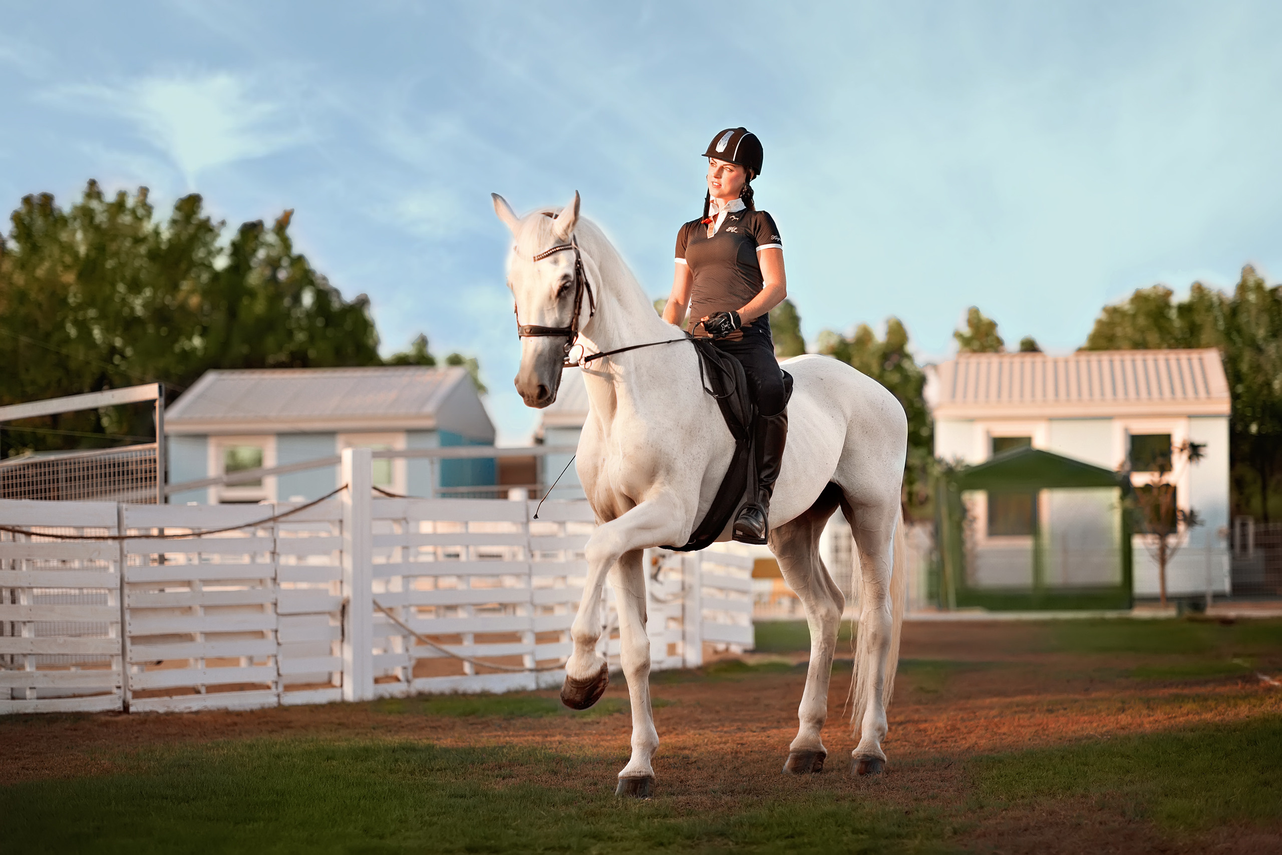 Horse photo session Dubai. Photographer in Dubai Dmitry Gromov