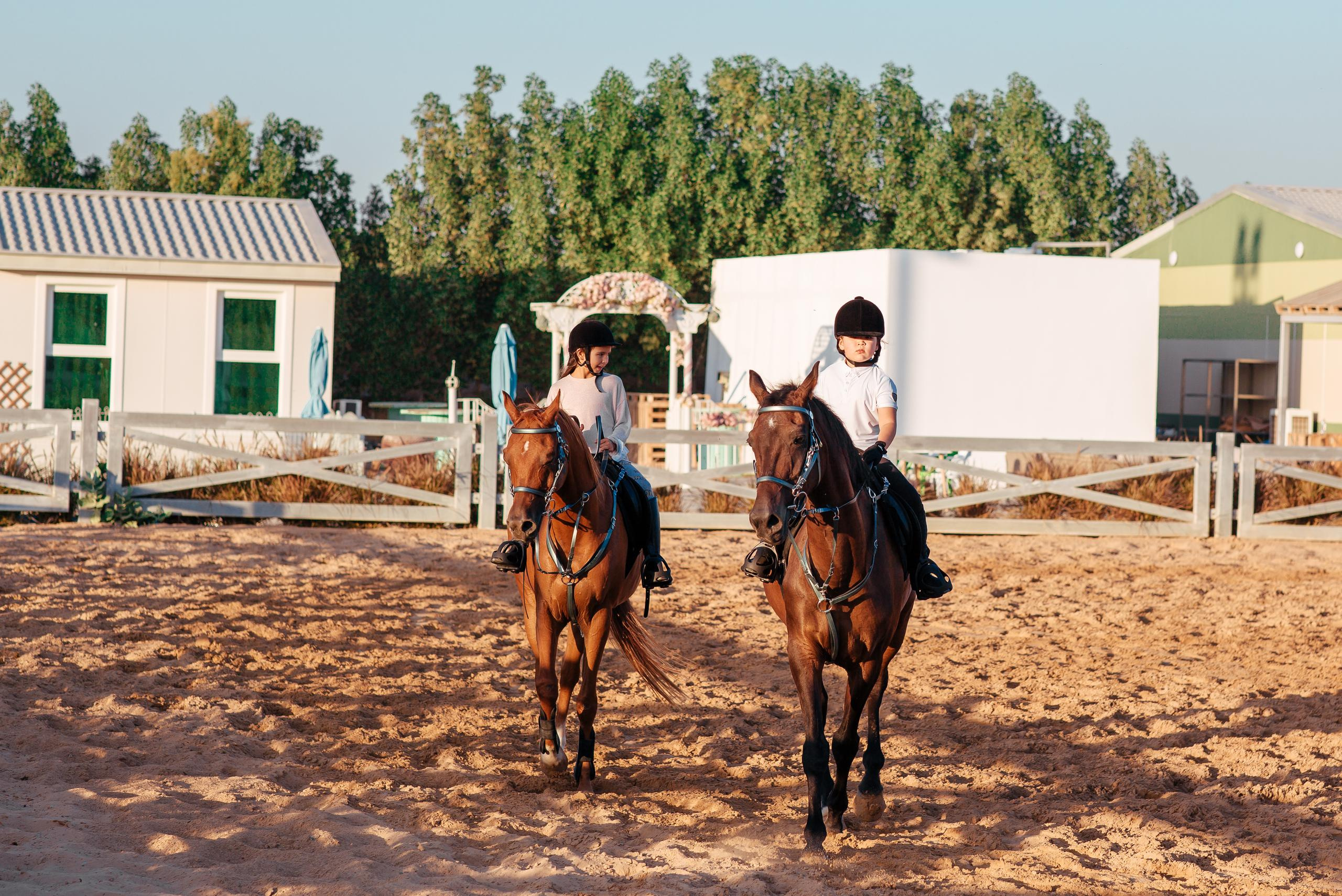 Horse photo session Dubai. Photographer in Dubai Dmitry Gromov