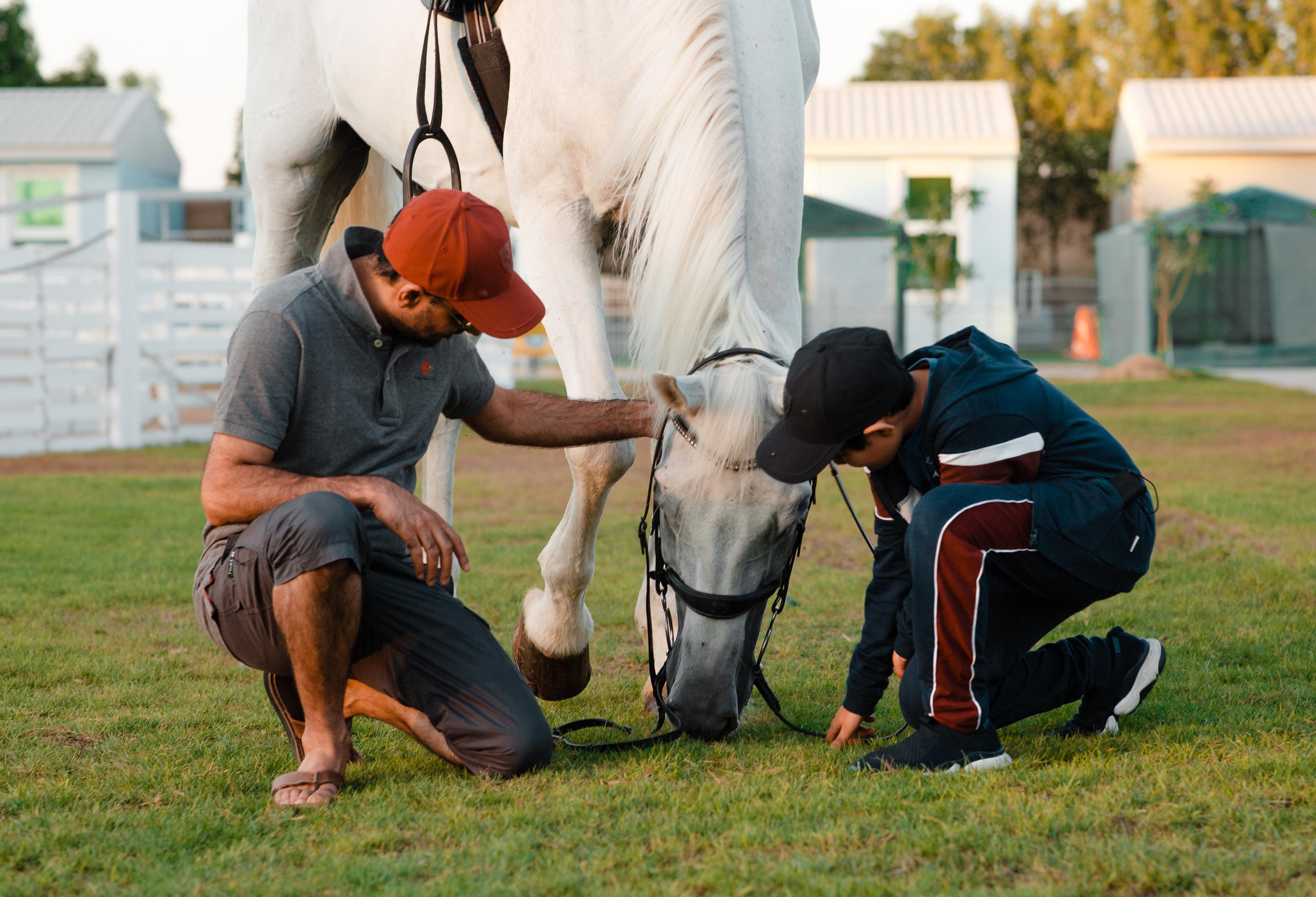 Horse photo session Dubai. Photographer in Dubai Dmitry Gromov