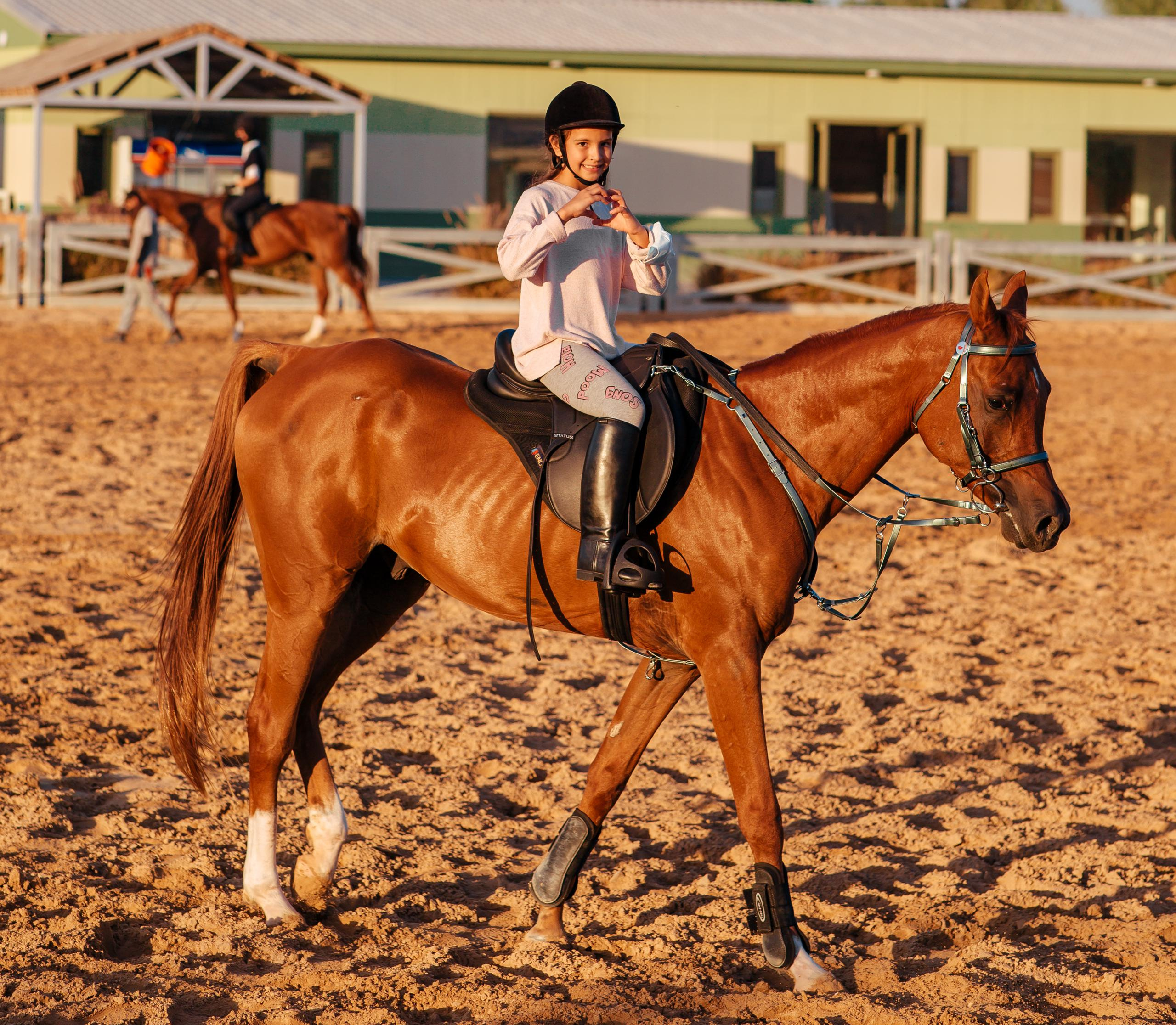 Horse photo session Dubai. Photographer in Dubai Dmitry Gromov