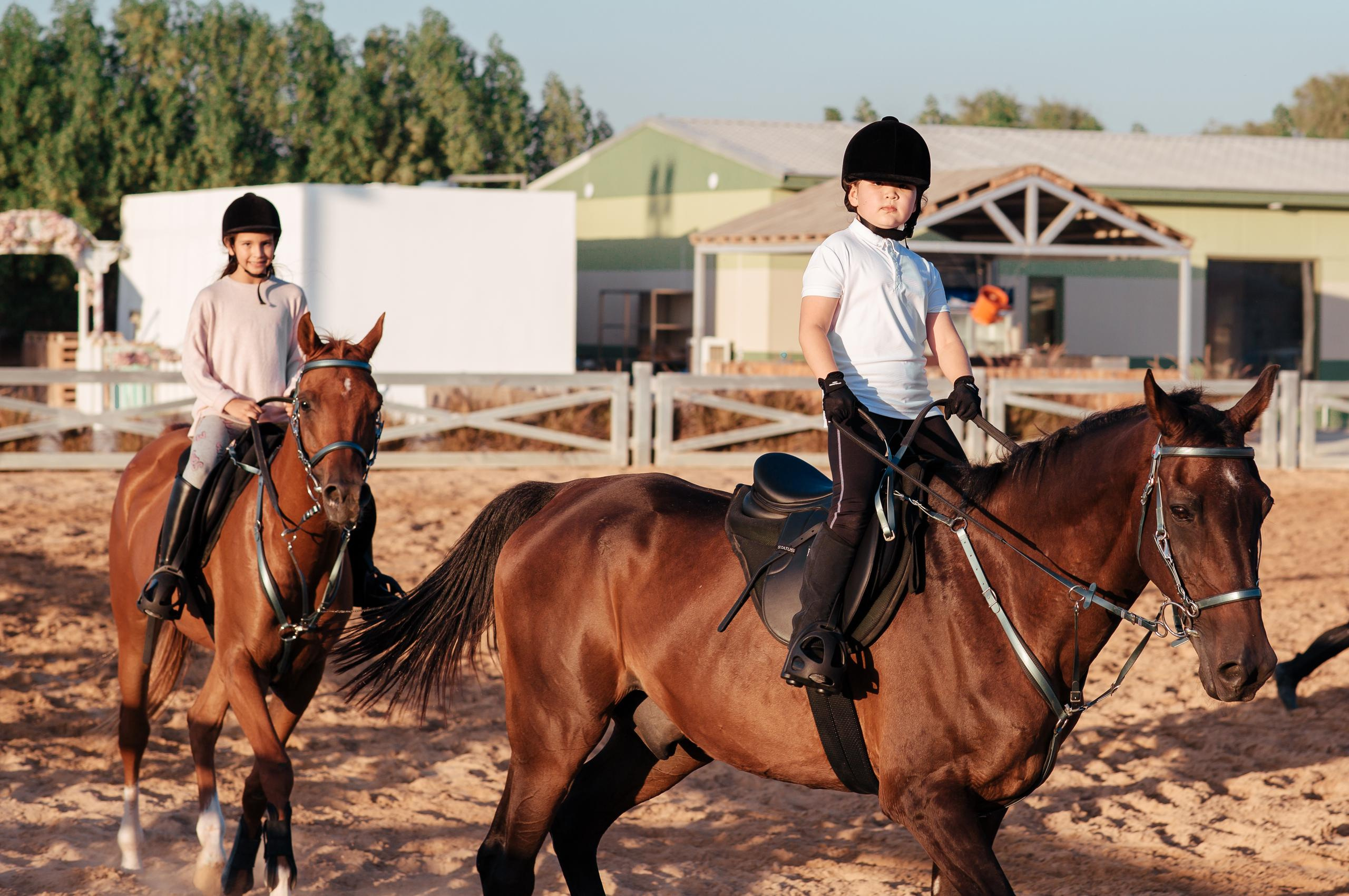 Horse photo session Dubai. Photographer in Dubai Dmitry Gromov
