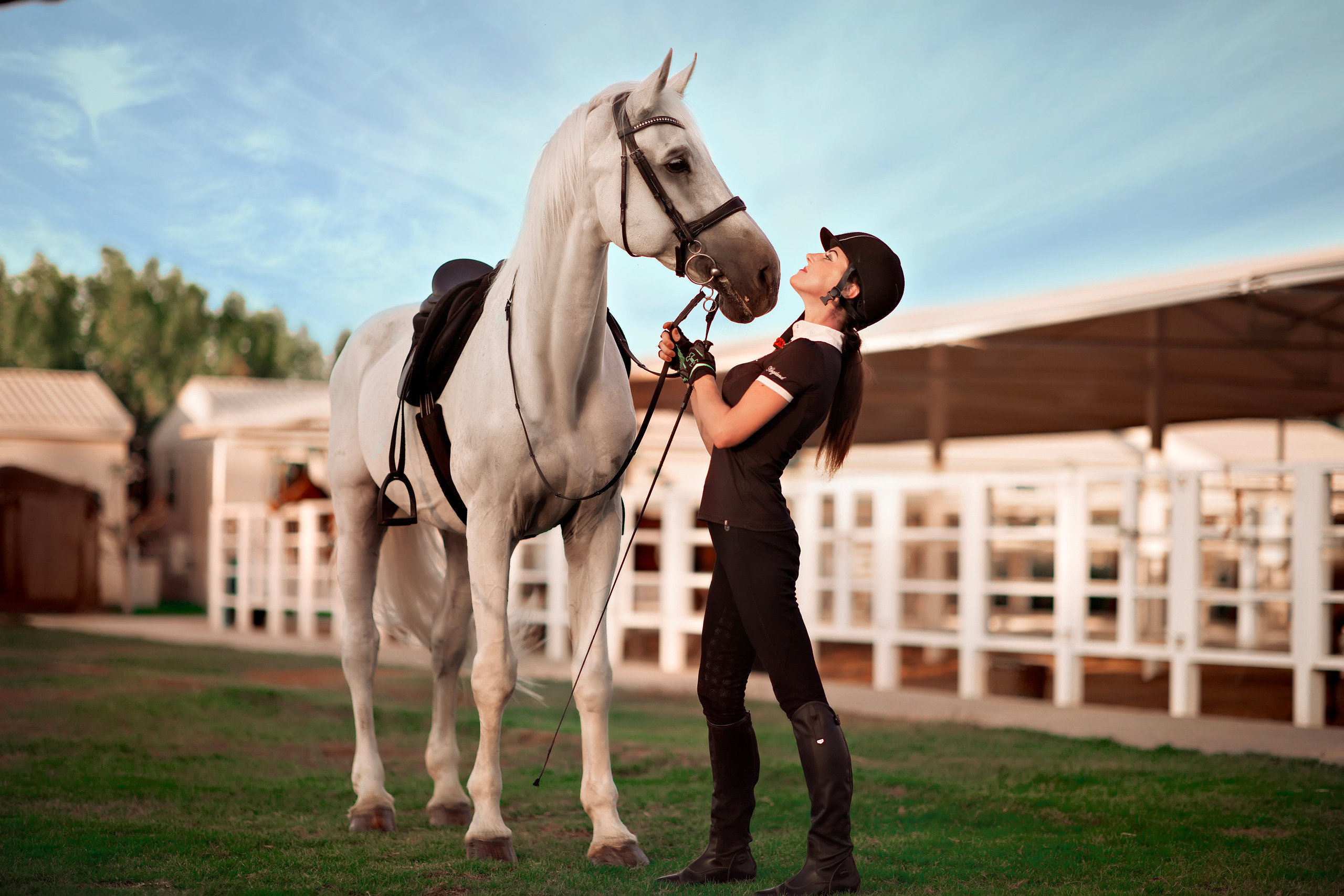 Horse photo session Dubai. Photographer in Dubai Dmitry Gromov