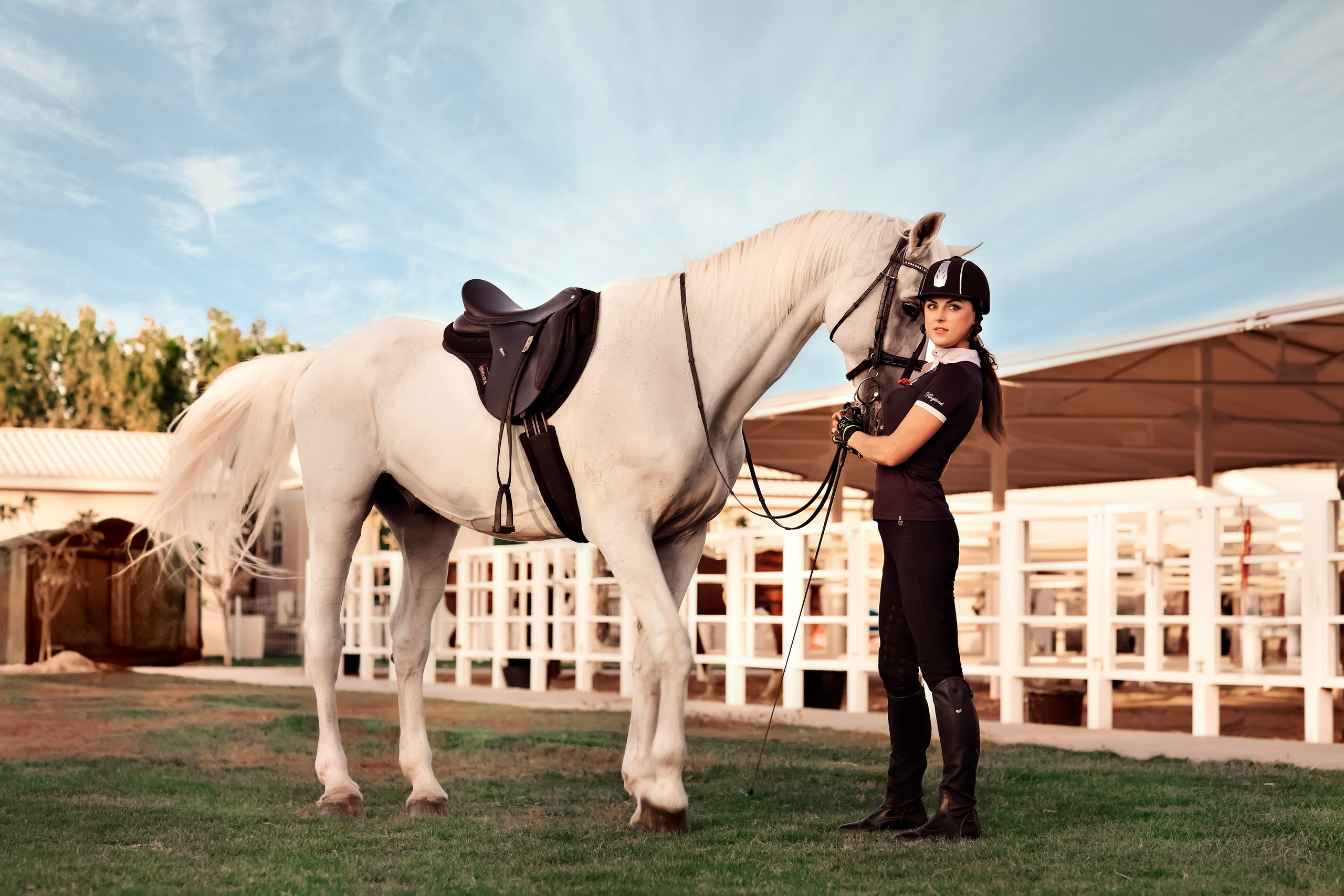 Horse photo session Dubai. Photographer in Dubai Dmitry Gromov