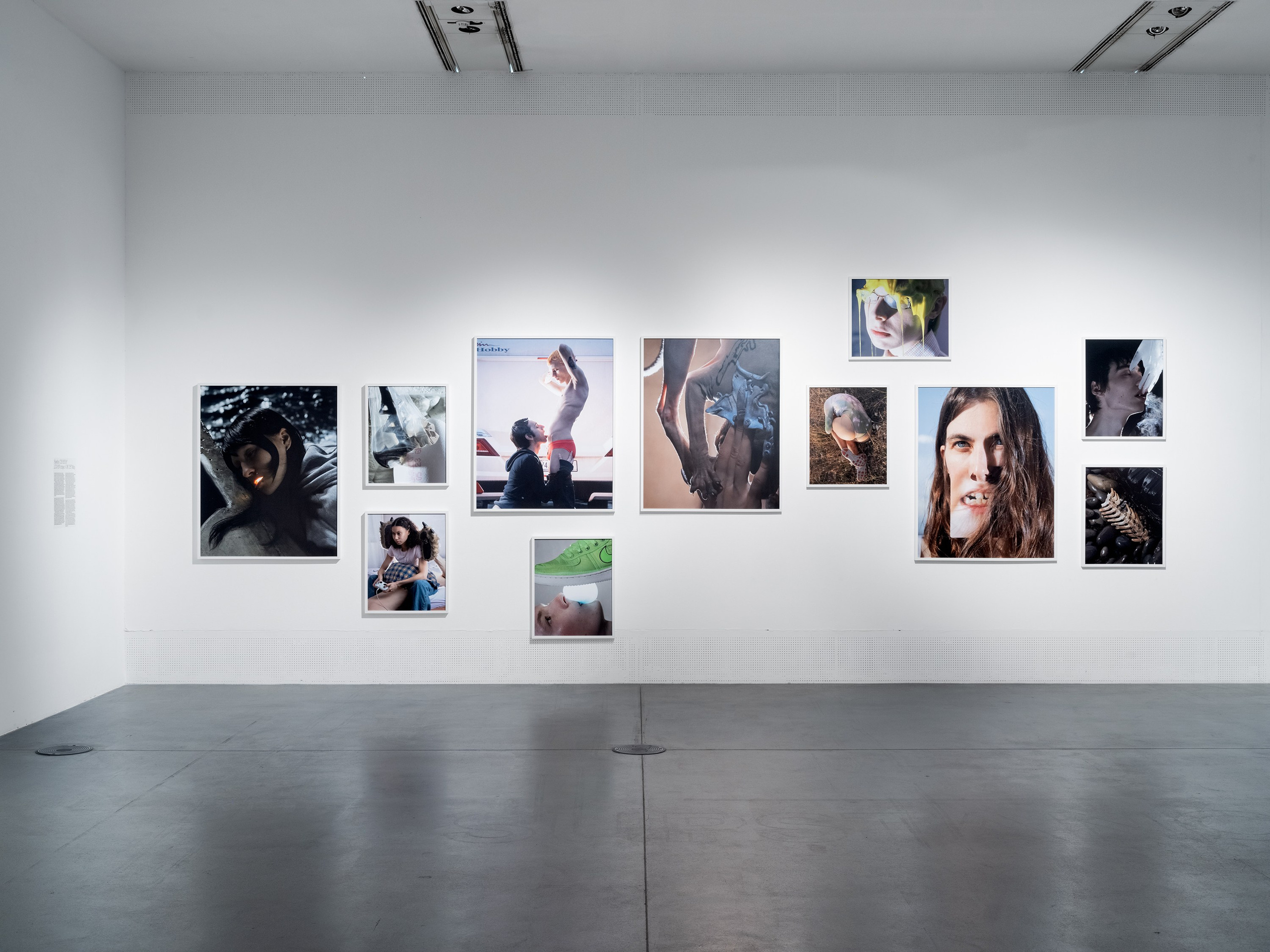Exhibitions. Sasha Chaika