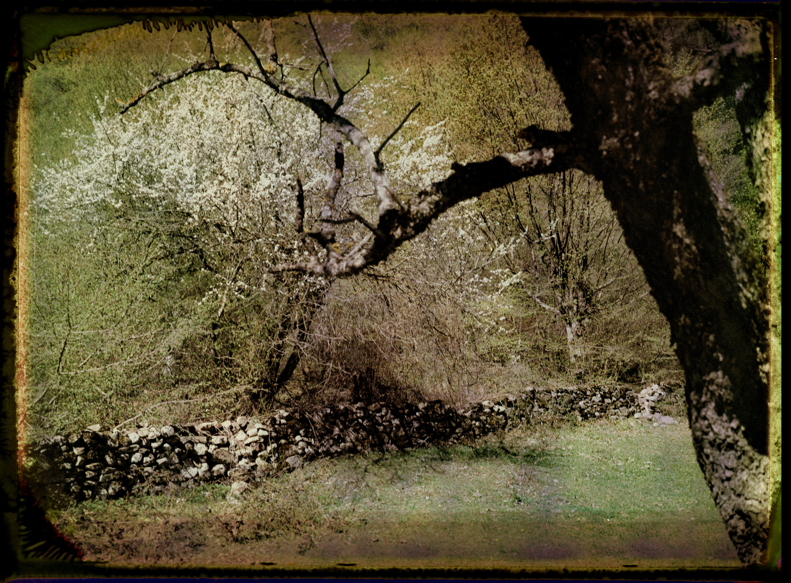 POLAROID. Www.sananaleskerov.com