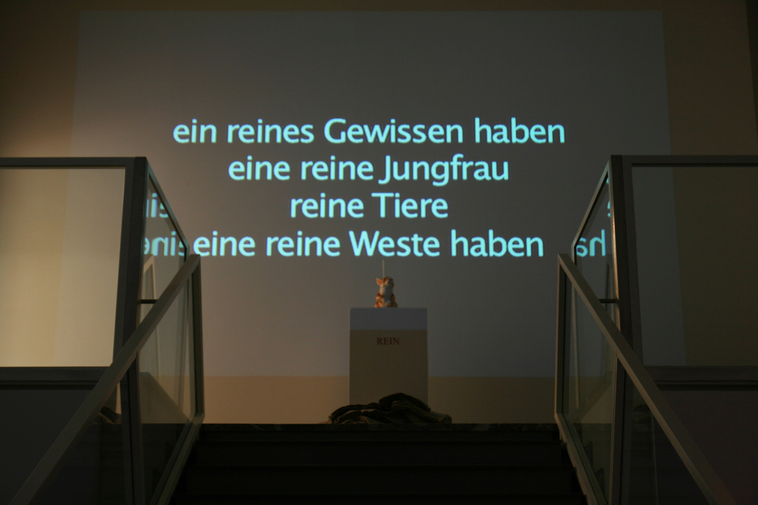 Rein (Clean), 2011. Haim Sokol’s artists website