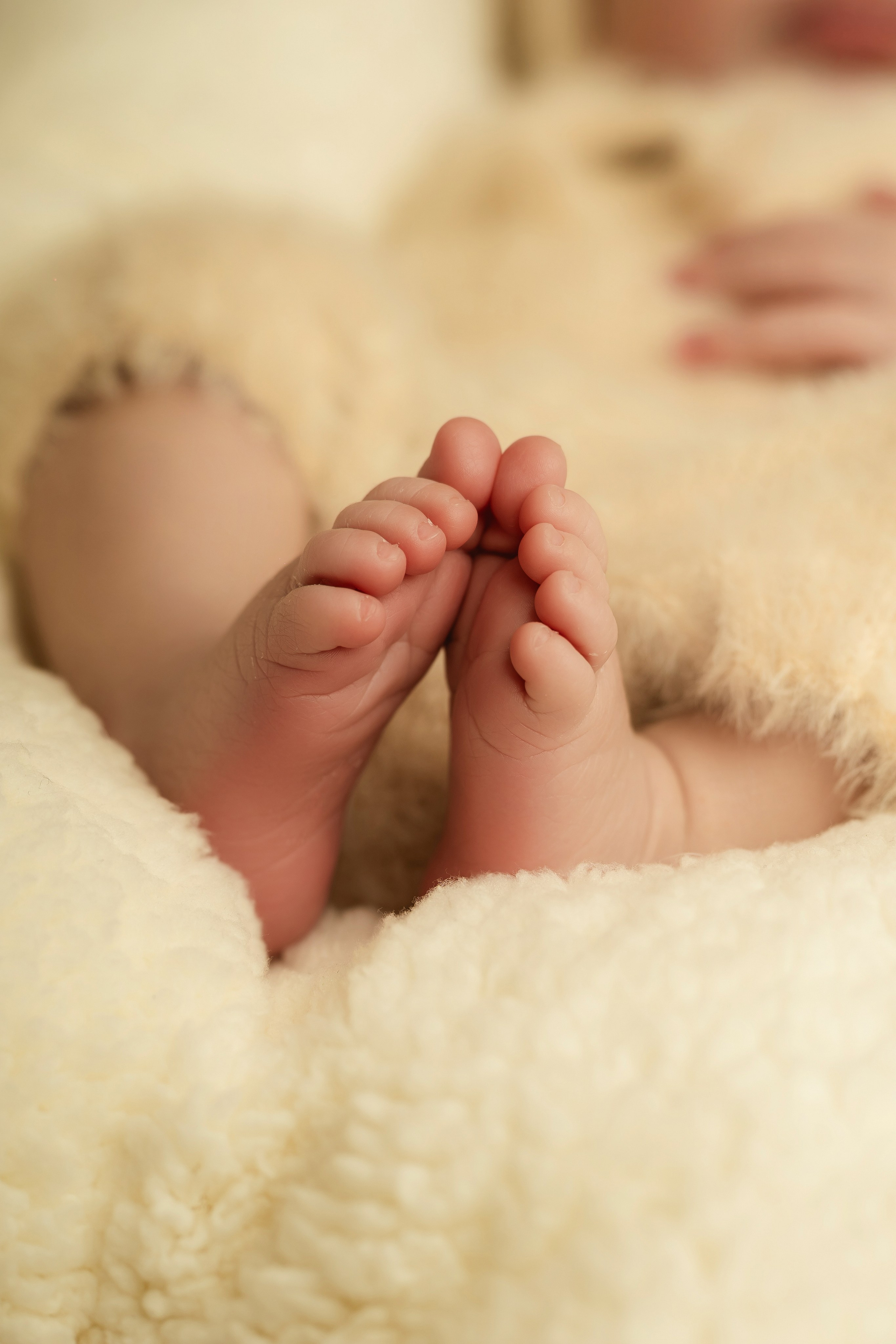 Naissance. Photographer in Paris