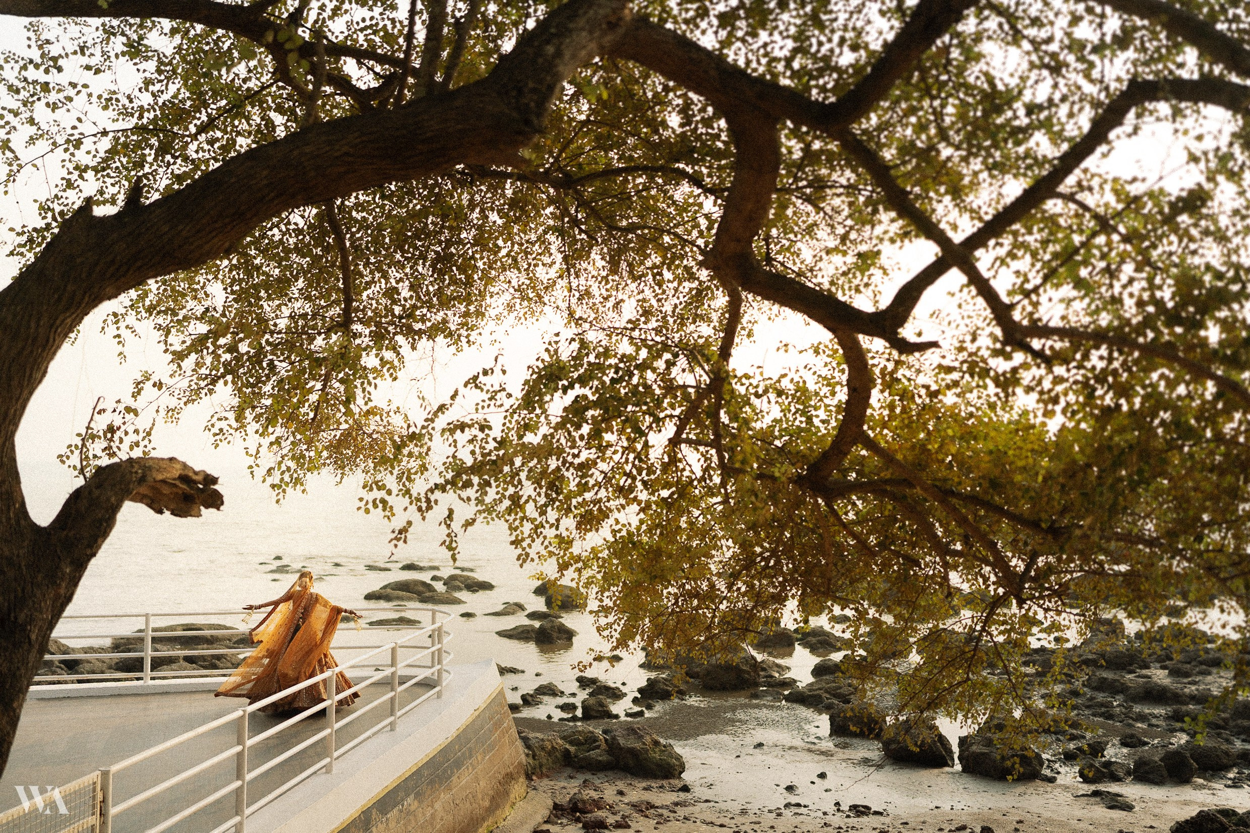 Wedding & Editorial Photographer | Anandshivadas