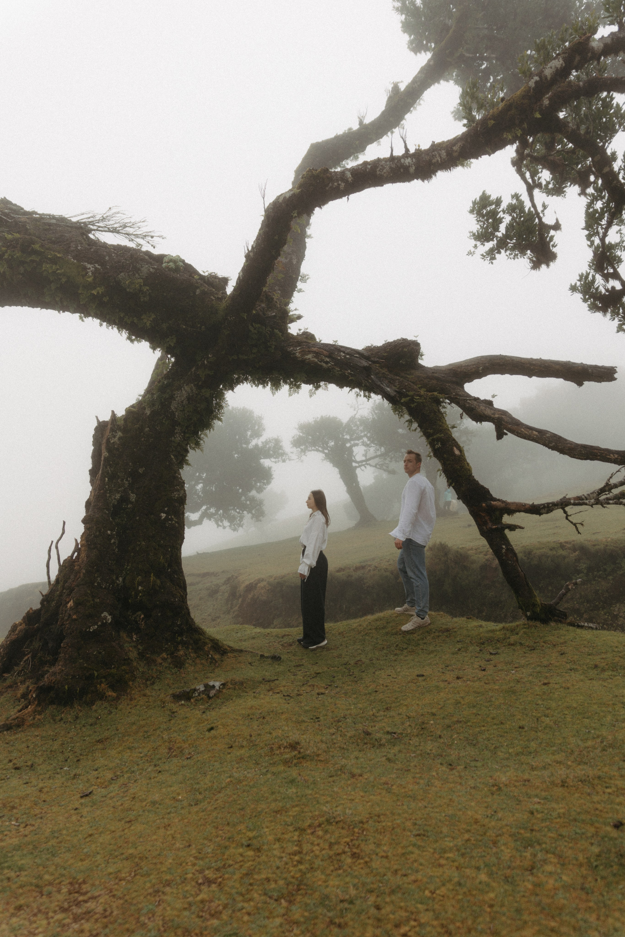 Magic of Fanal Forest. Wedding photographer and videographer based in Timisoara, Romania