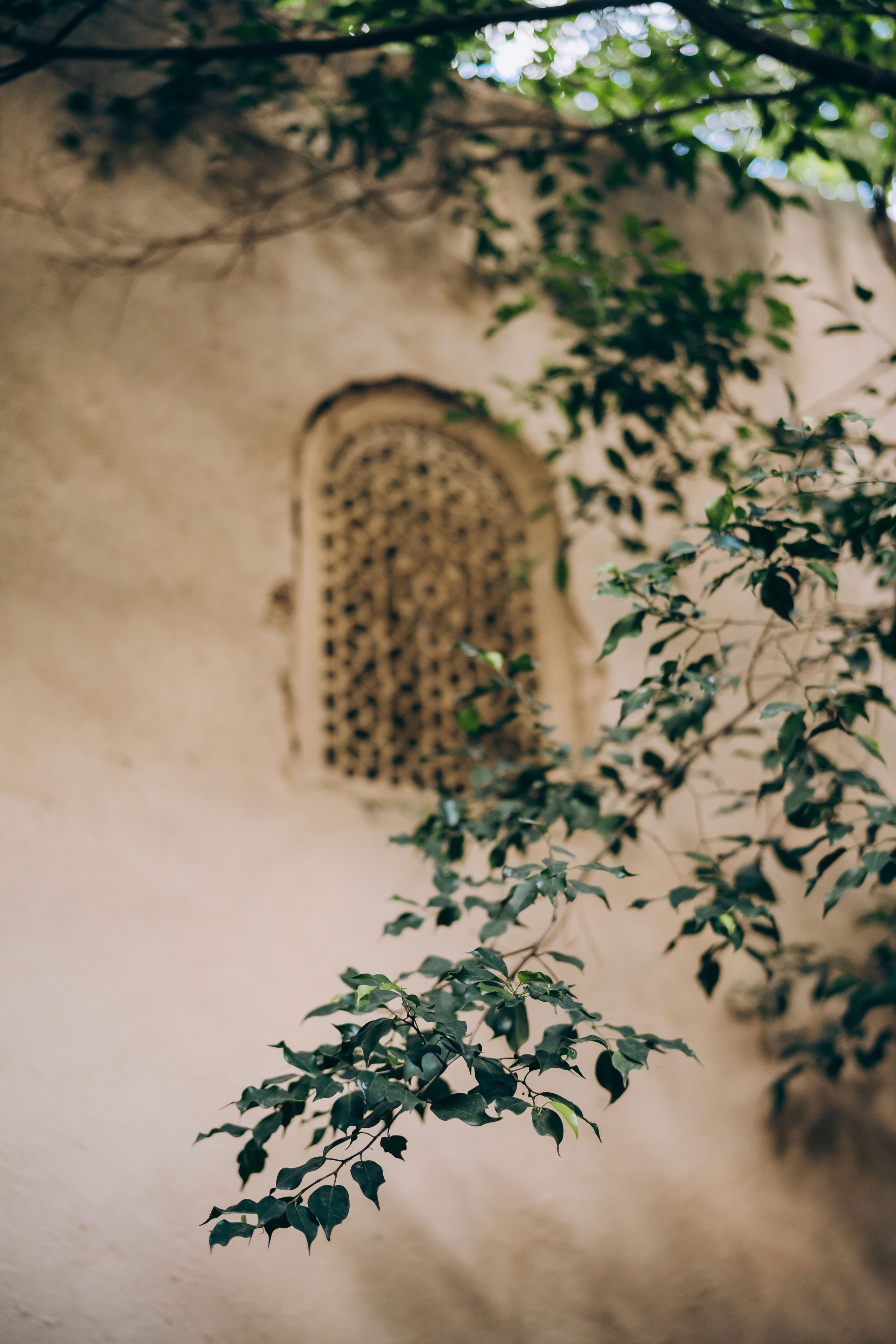 Mallorca mood. Фотограф у Пальма де Майорка