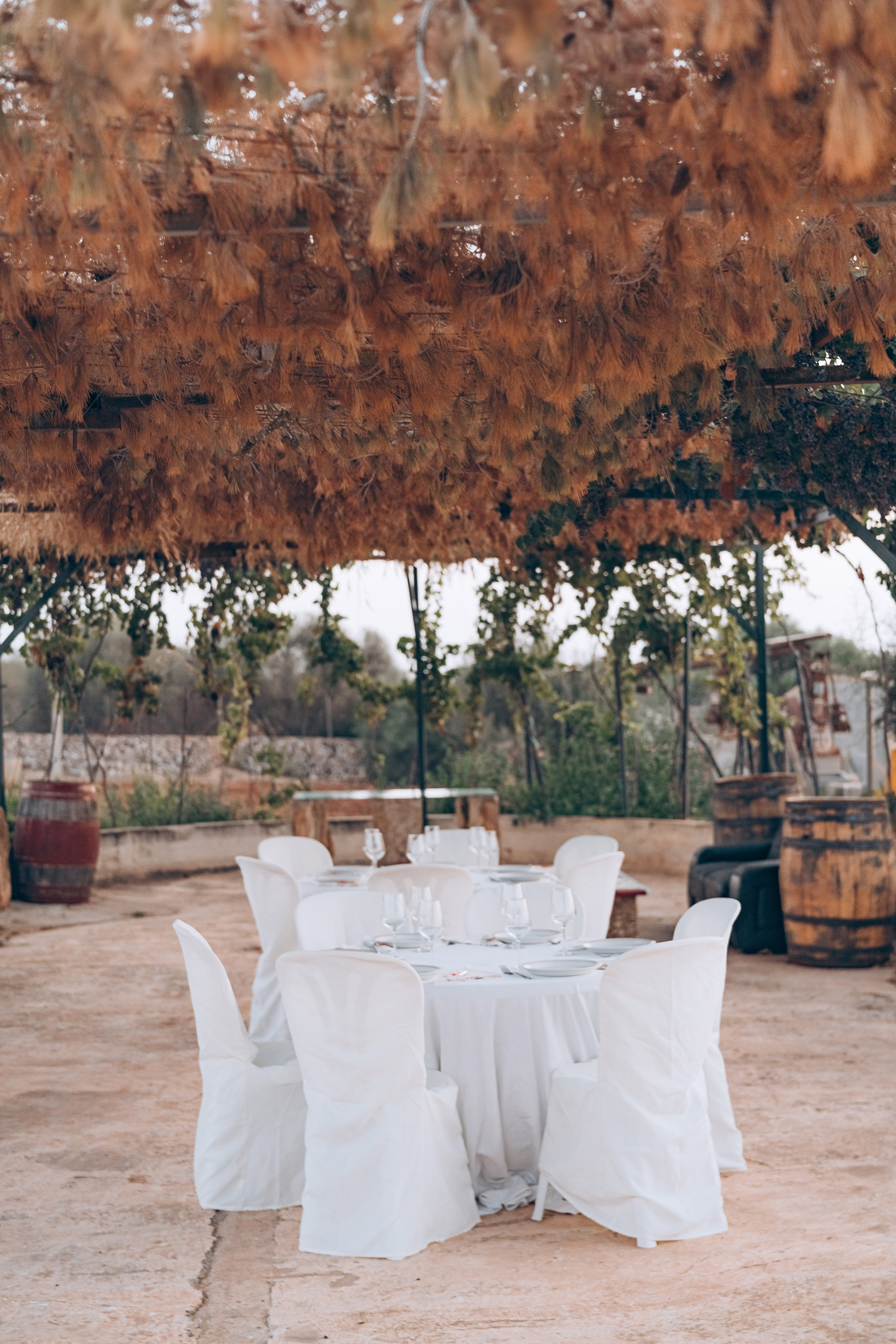 Bodega. Photographer in Mallorca
