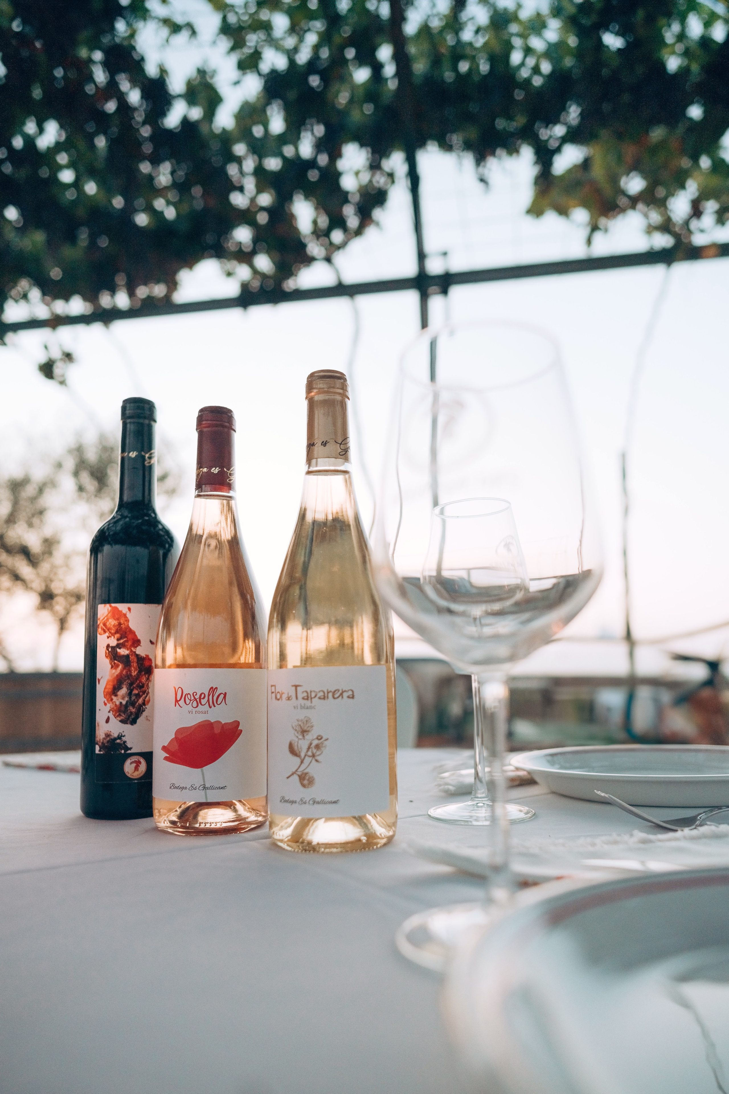 Bodega. Photographer in Mallorca