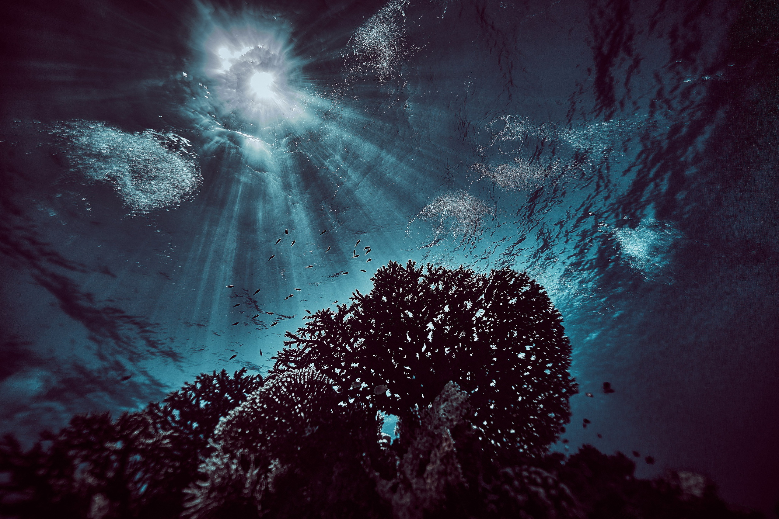 Wielka Niebieska Tajemnica. Andriej Szypilow — Photography & Videography