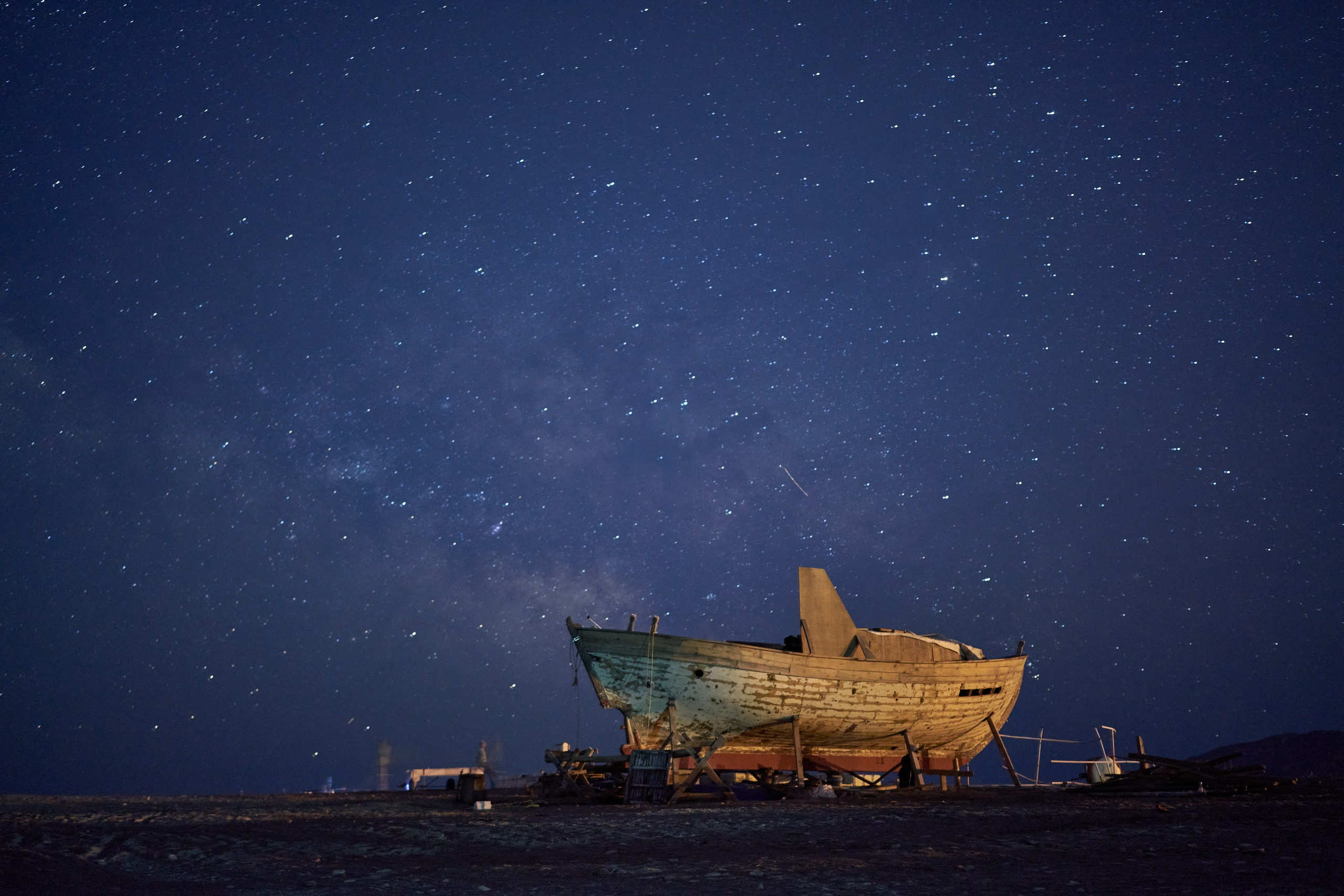 Caretta caretta | Anastasiia Nelen photographer