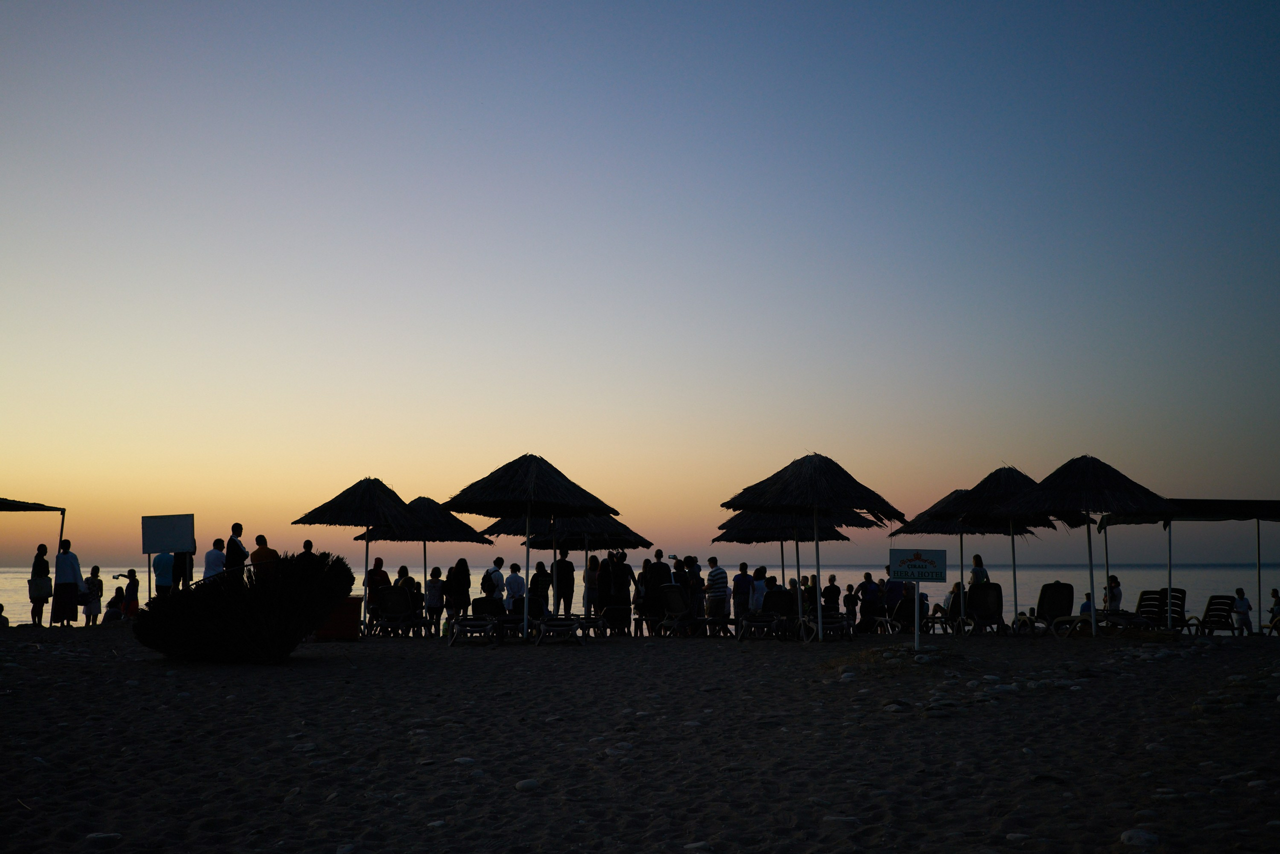 Caretta caretta | Anastasiia Nelen photographer