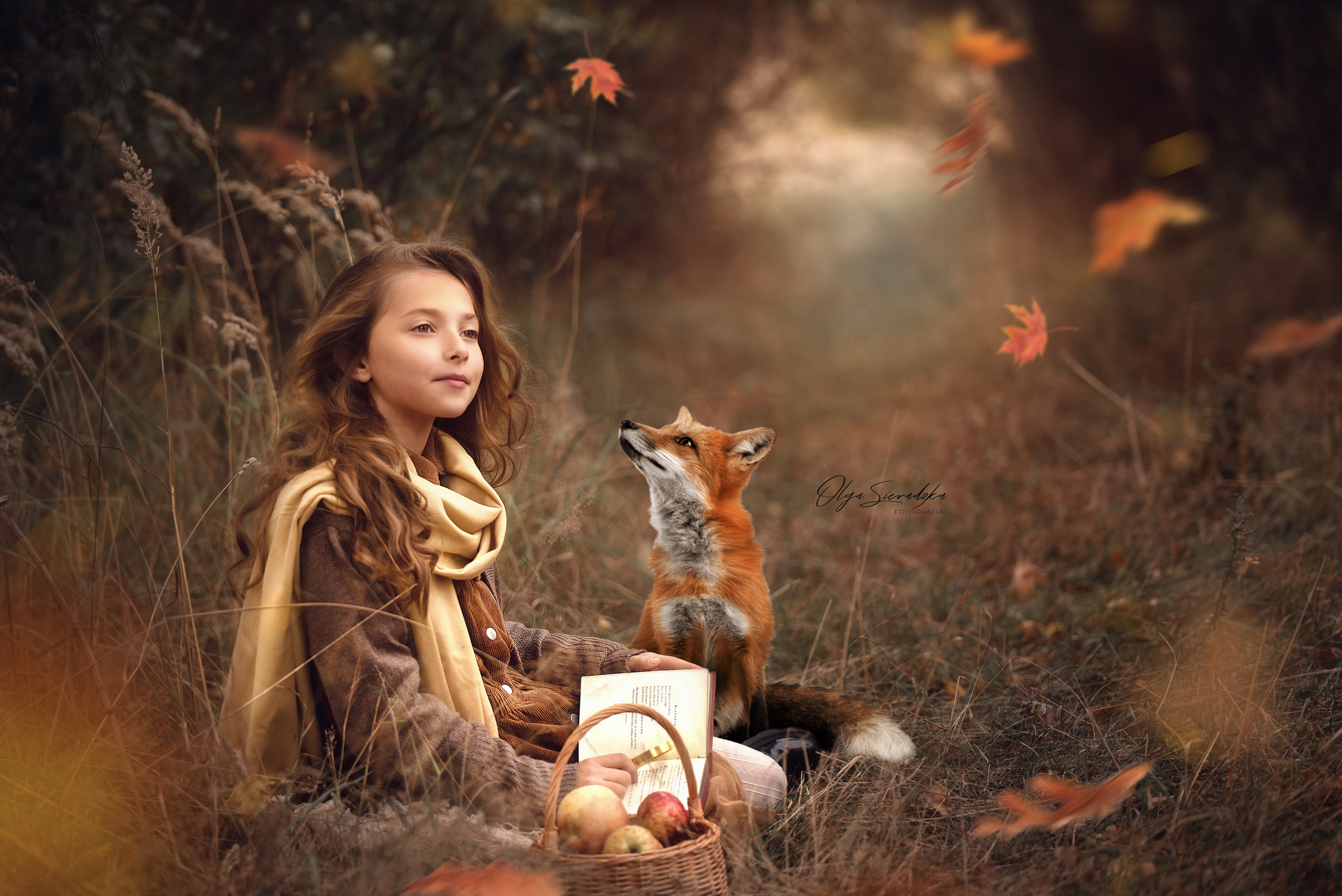 Oferta. Olga Sieradzka fotograf rodzinny, ciążowy i dziecięcy w Pile