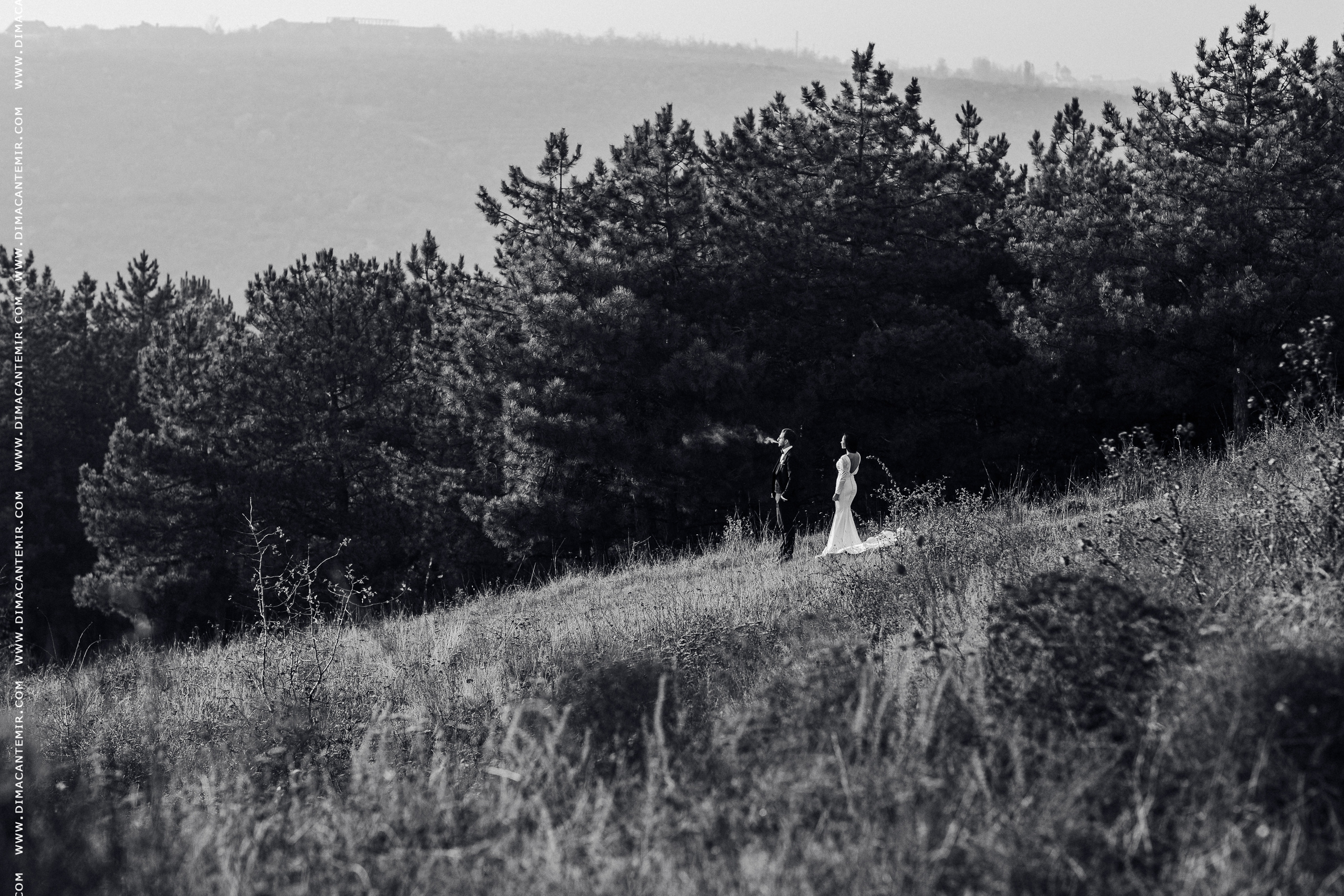 Fotograf de nuntă în Chisinau, Moldova. Poze și Video Comerciale