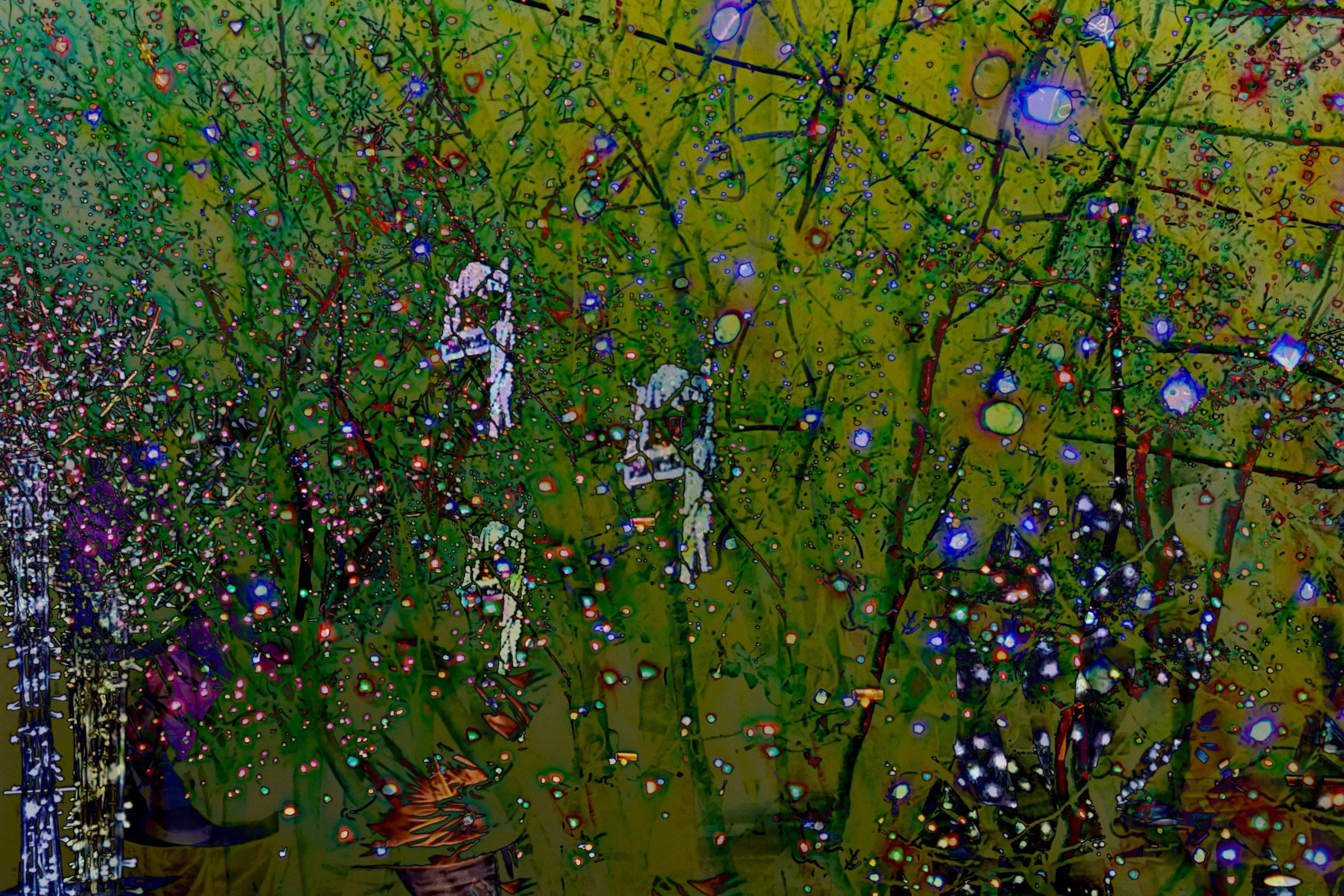 Проекти. Фотограф Оксана Ляшенко Дніпро Україна Oksain