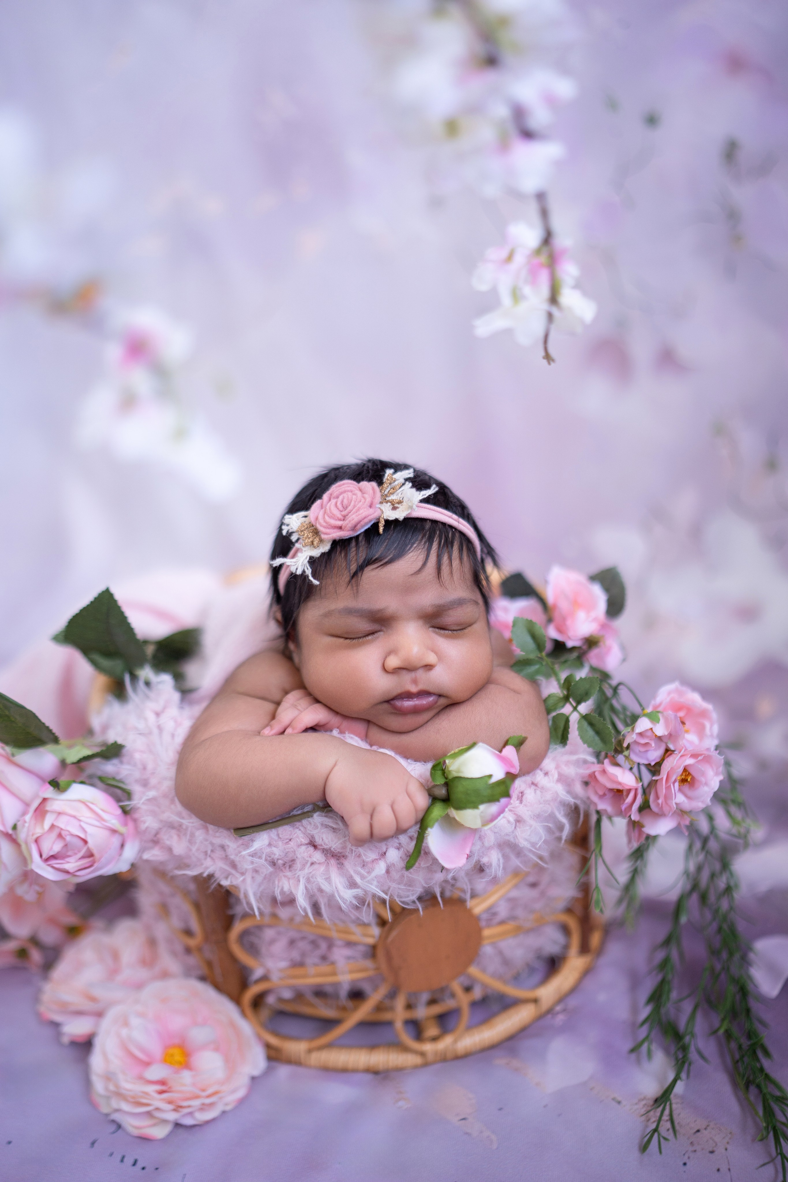 Posed Newborn. Maternity, family and newborn photography in San Francisco Bay Area