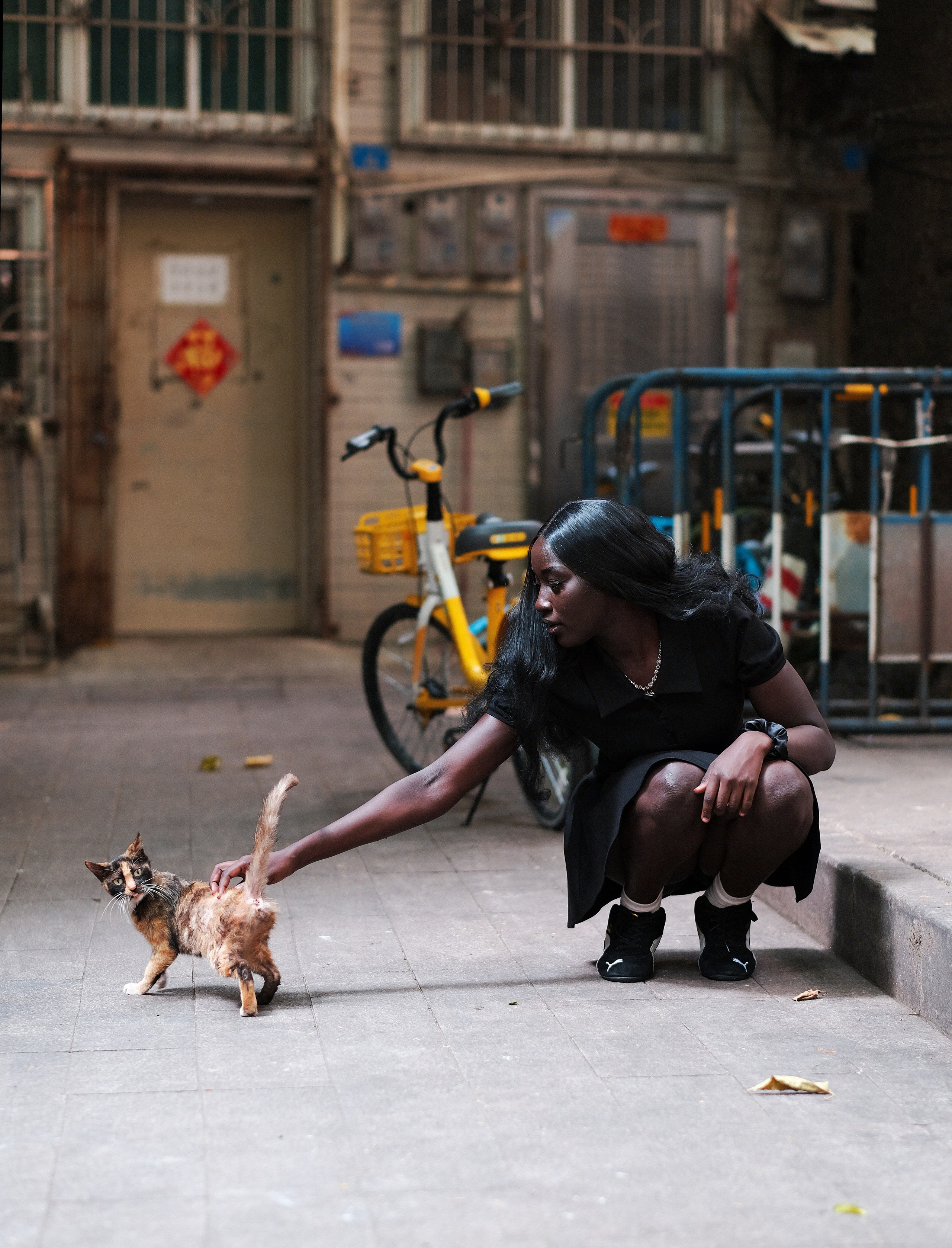 Stray Cats 🐾 | Stray cats from all the World | YuKoPhotography 📷. 中国街头摄影 | The Streets of China Through My Eyes | 深圳
