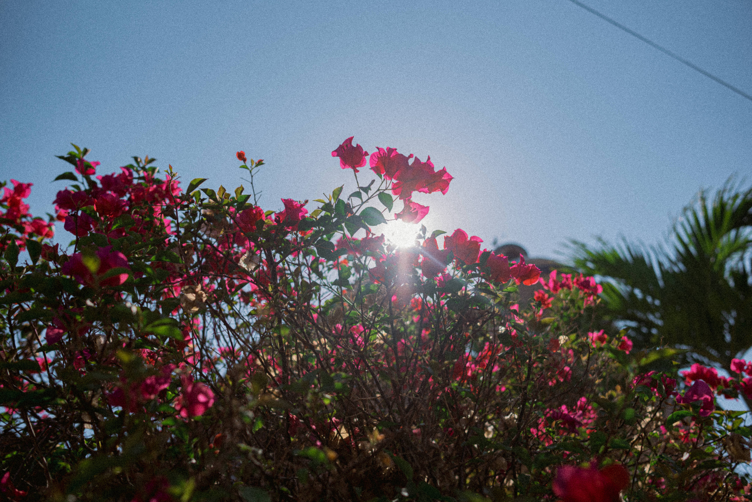 WeddingMichael&Jessica. Sayulita Wedding Photographer, Puerto Vallarta, Cabo