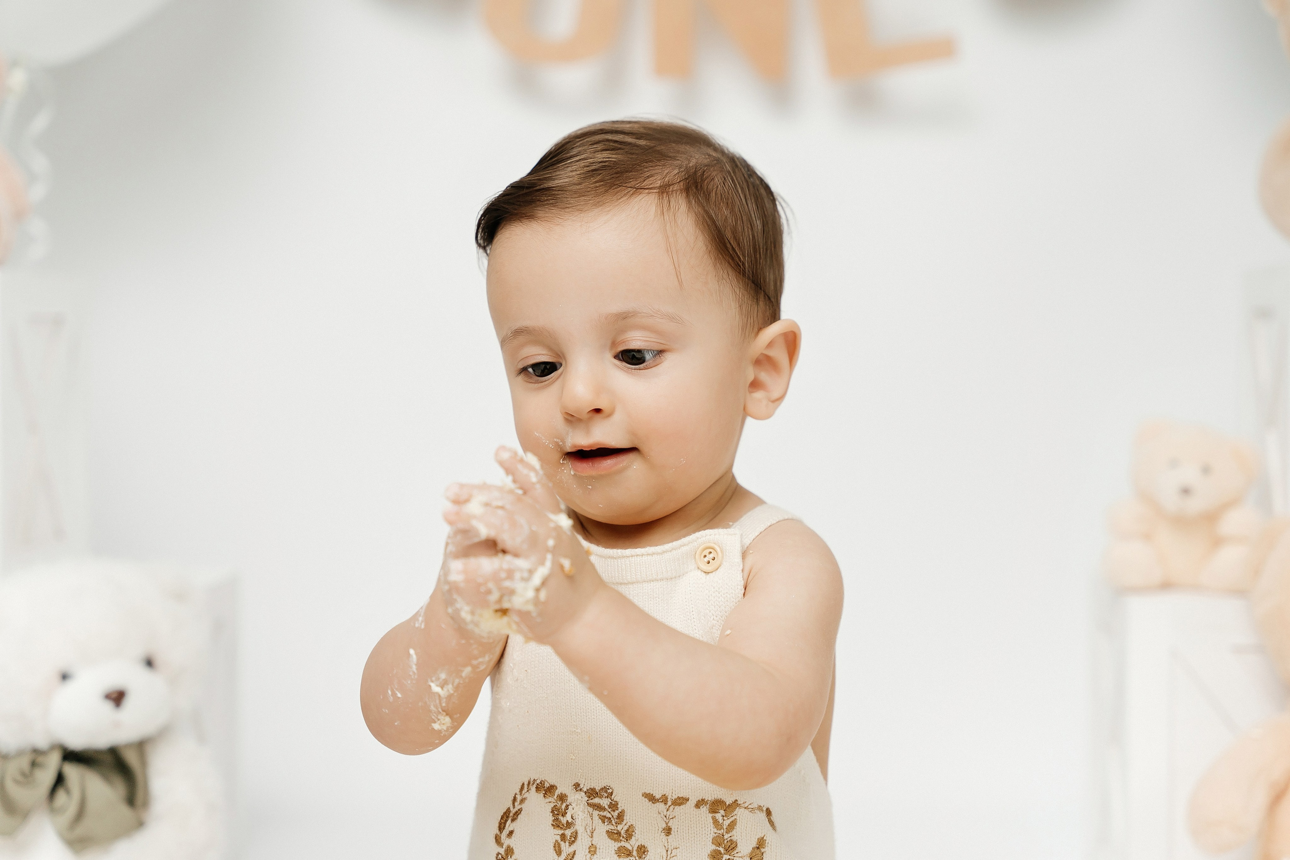 Teddy Bear One Year Cake Smash Photos. Newborn and family photographer. Hills District. Sydney