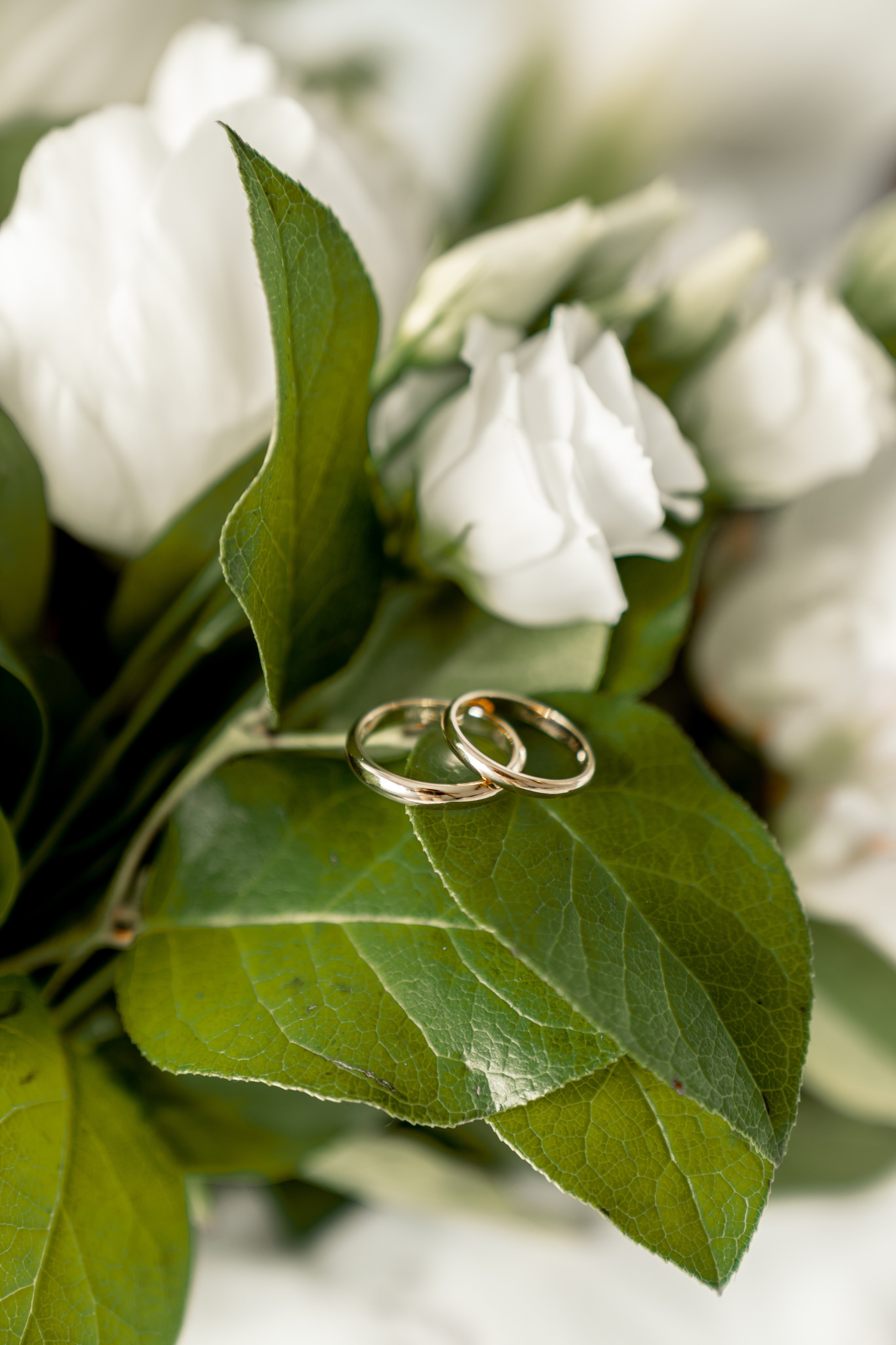 ÉVÉNEMENTS. Florica Ghiriti - photographer in Paris