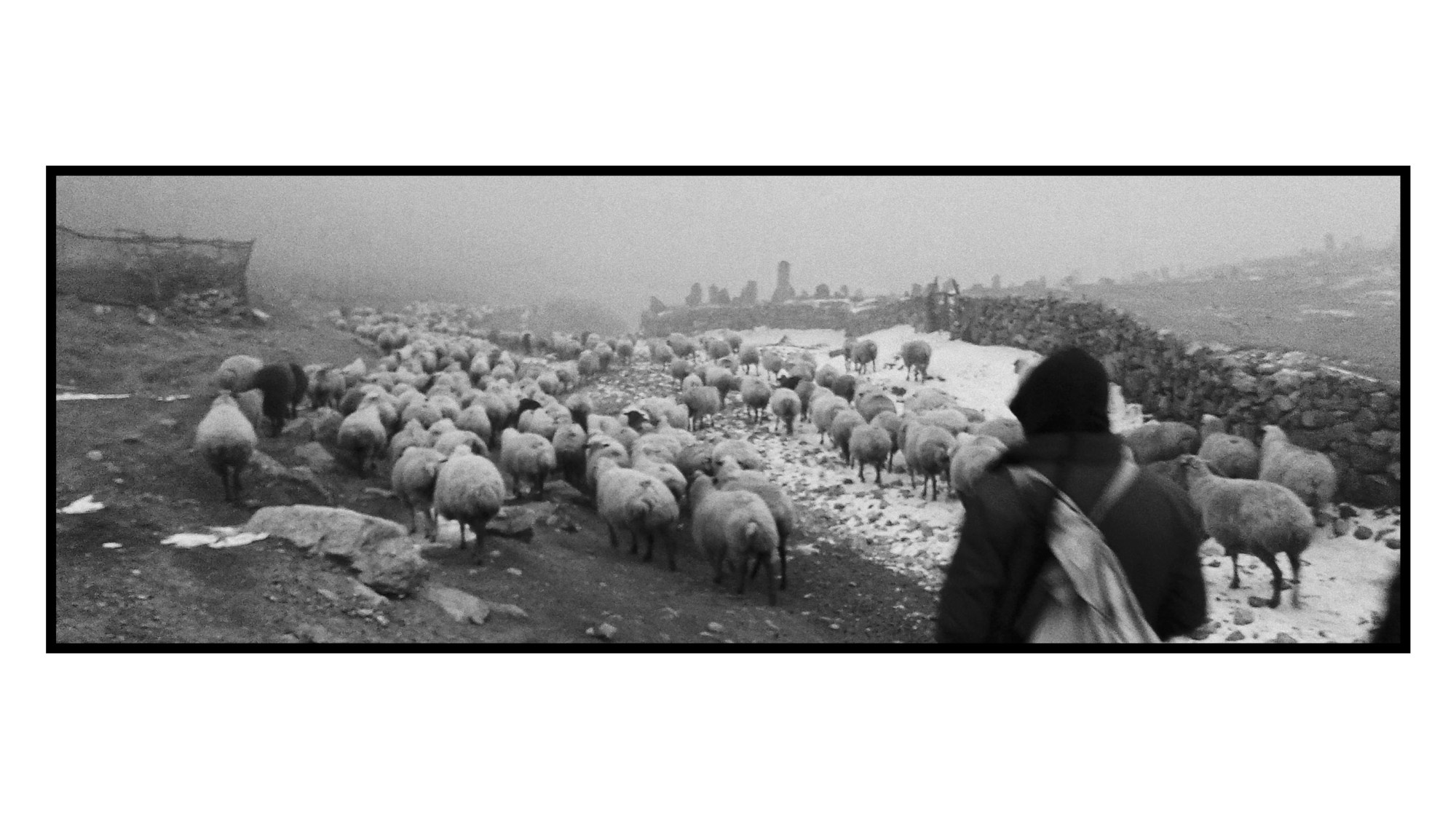 Dağ Kəndi Həyatı və Mənzərələri. Bakıda Peşəkar Tədbir, Love Story və Təbiət Fotoqrafı — Elşən Baba