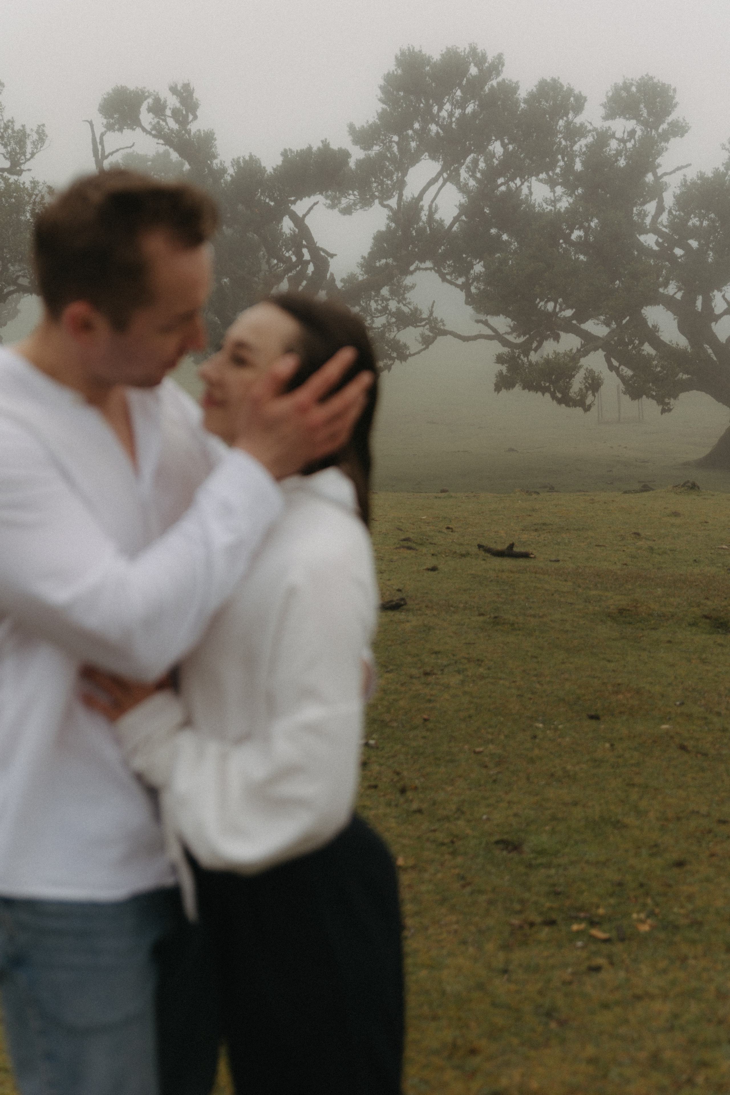 Moody couple photography in Madeira’s Fanal Forest