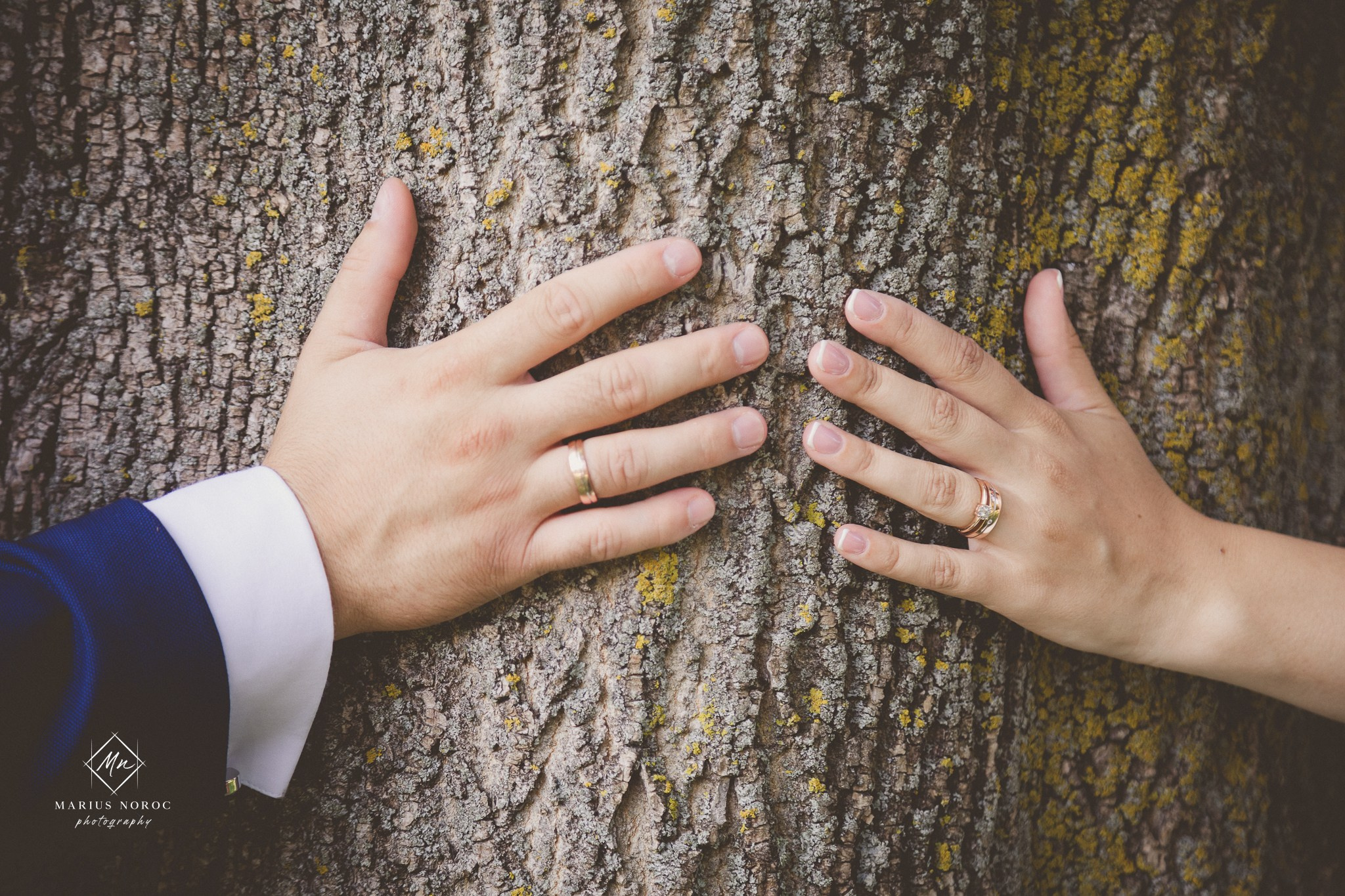 Alina & Petru | Castelul Miclauseni Iasi