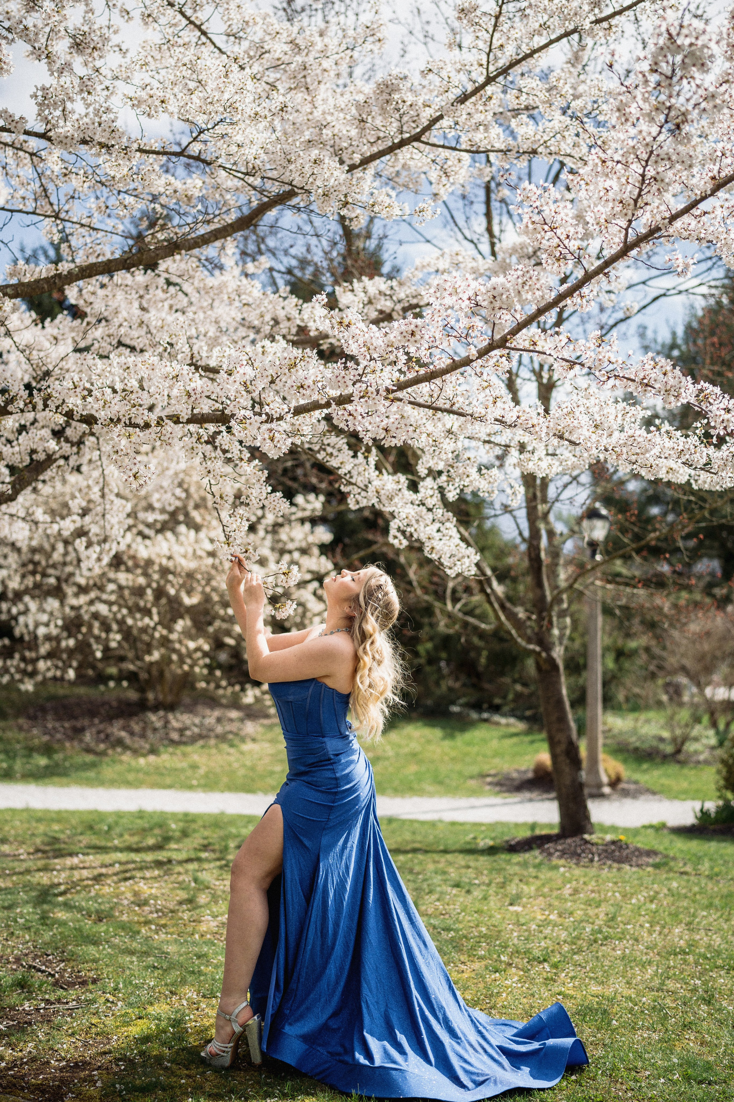 PORTRAITS. Wedding and family photographer and videographer PA, NJ, NY, DE, MD