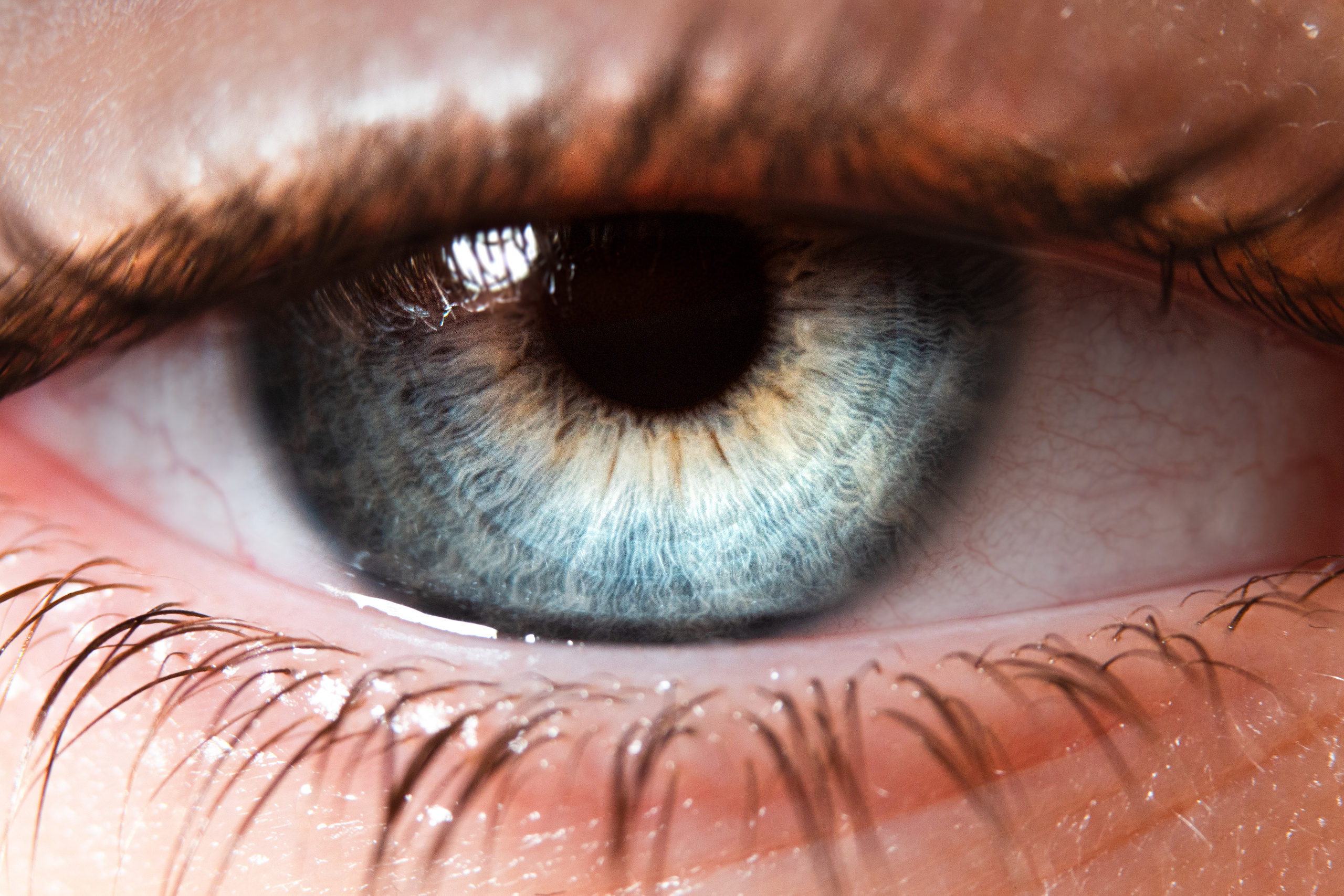 Produzione Video & Foto - Branding Aziendale (Treviso Pordenone Udine Padova)