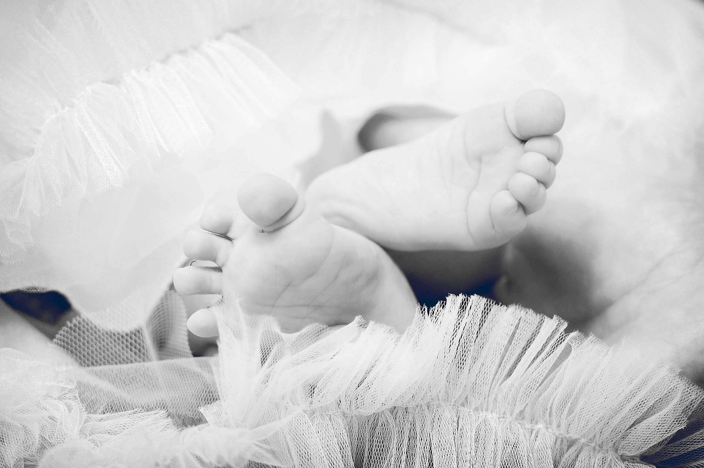 Fotograf Botez Craiova Pitesti 2024