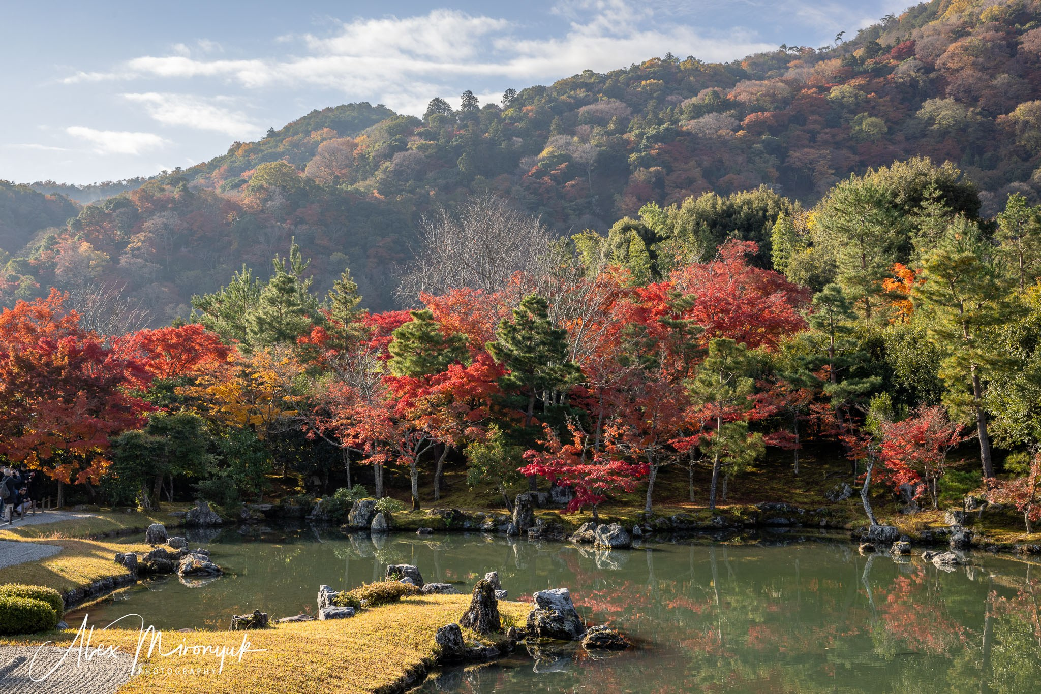 Autumn Colors of Japan. Pet, Senior, Landscape, portrait studio, photographer in Miami and Sou