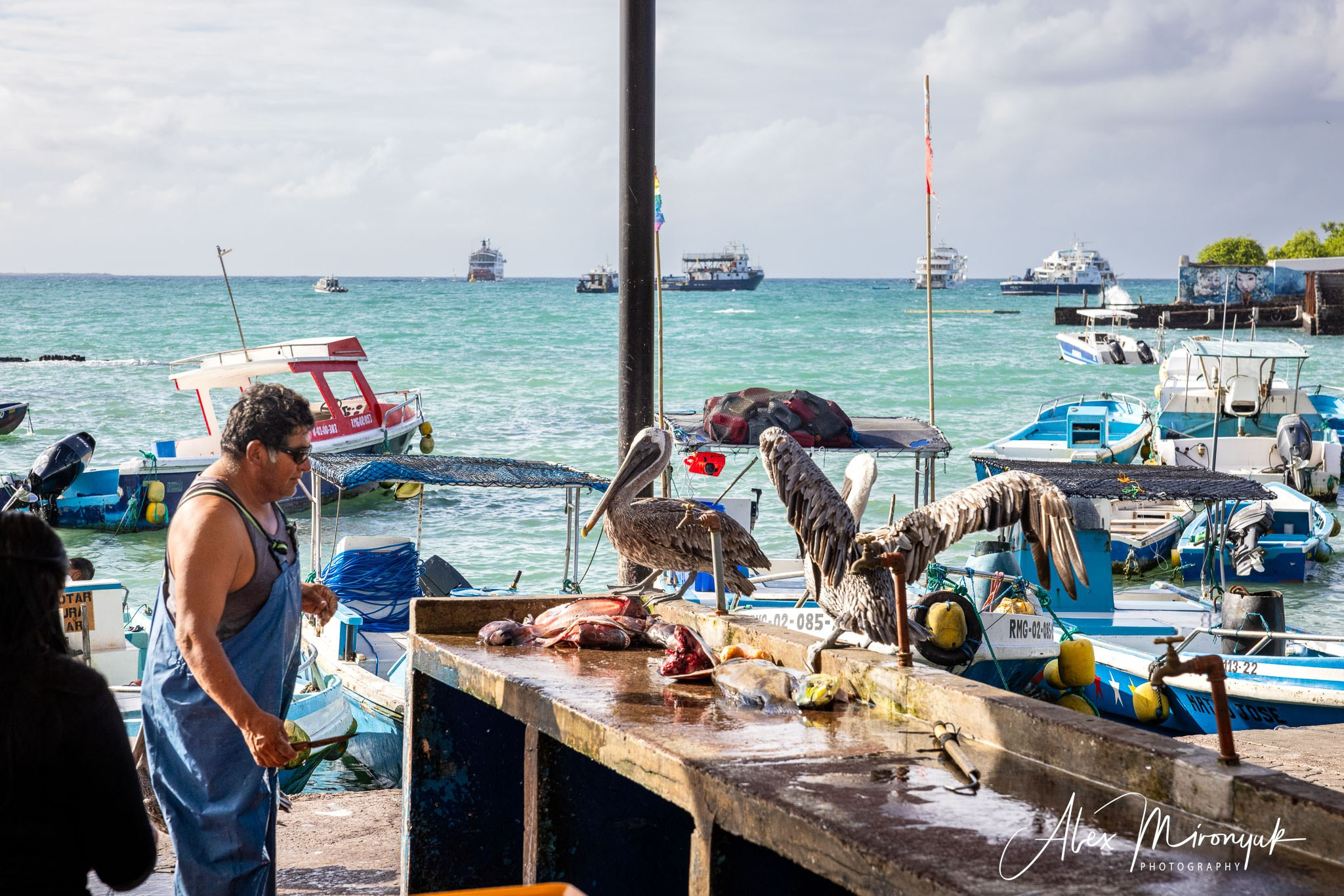 Galapagos Islands Adventure. Alex Mironyuk Photography