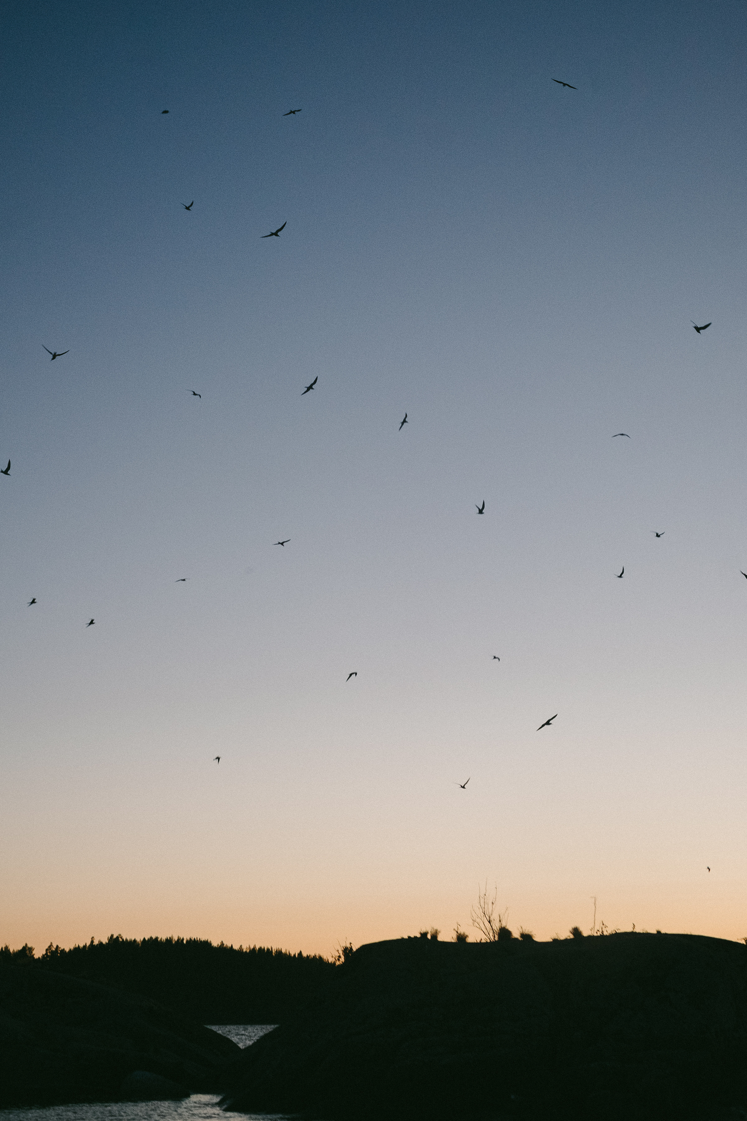 Ладога 2021. Фотограф в Тбилиси. Портрет, репортаж, эвент. Геннадий Демченко