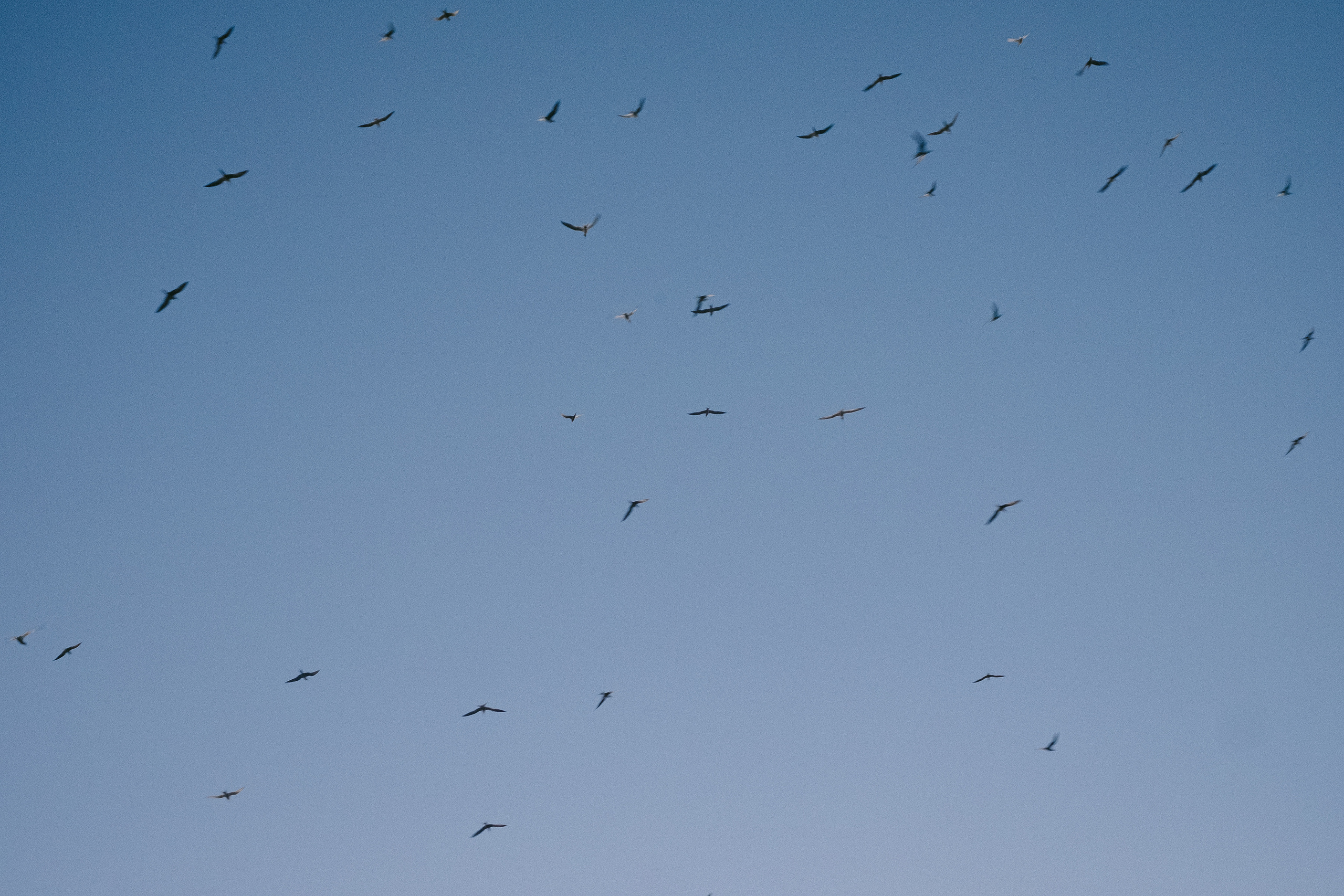 Ладога 2021. Фотограф в Тбилиси. Портрет, репортаж, эвент. Геннадий Демченко