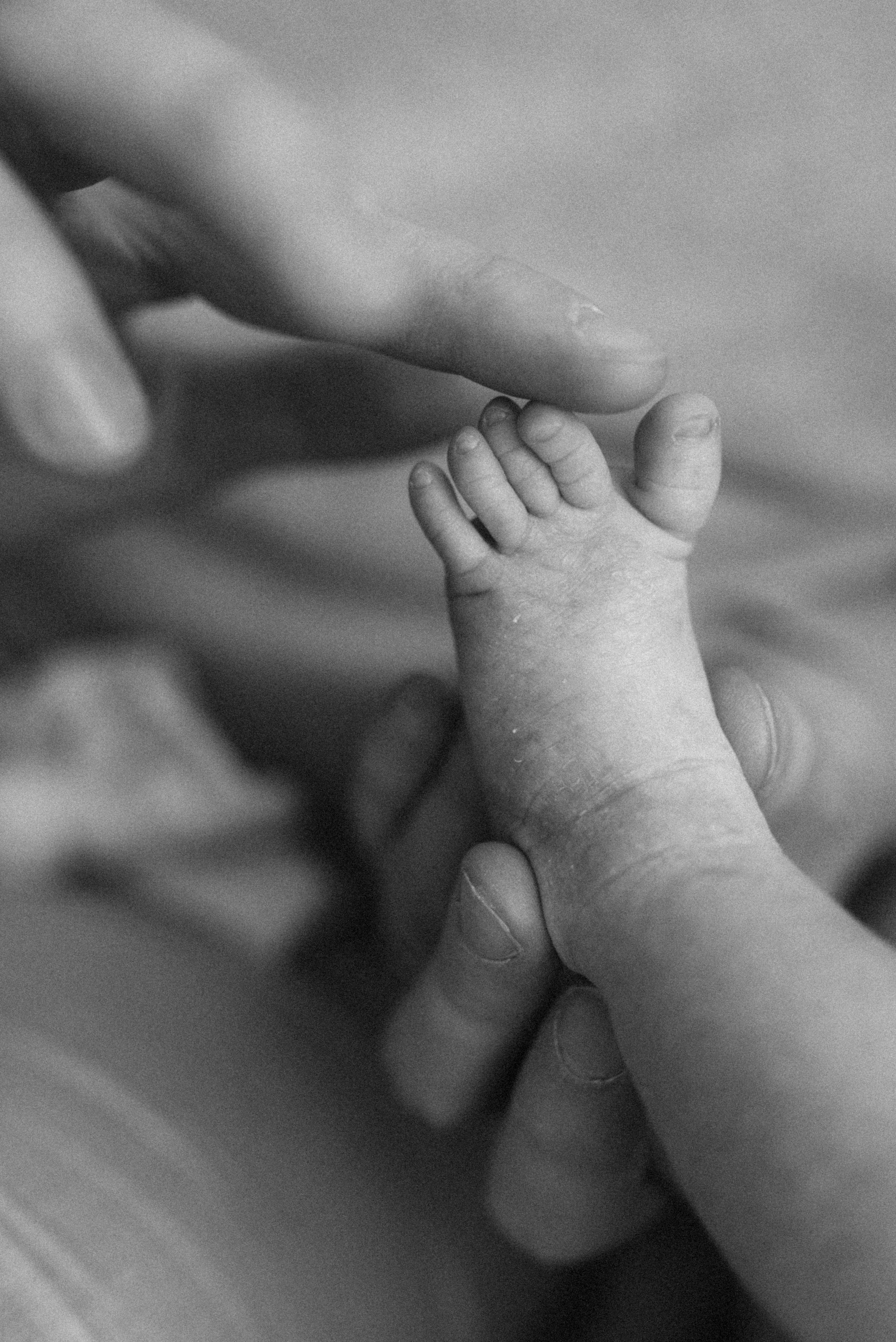 Valokuvaaja Kotka | Perhe-, newborn- ja hääkuvaus Kotkassa, Helsingissä ja myös muualla