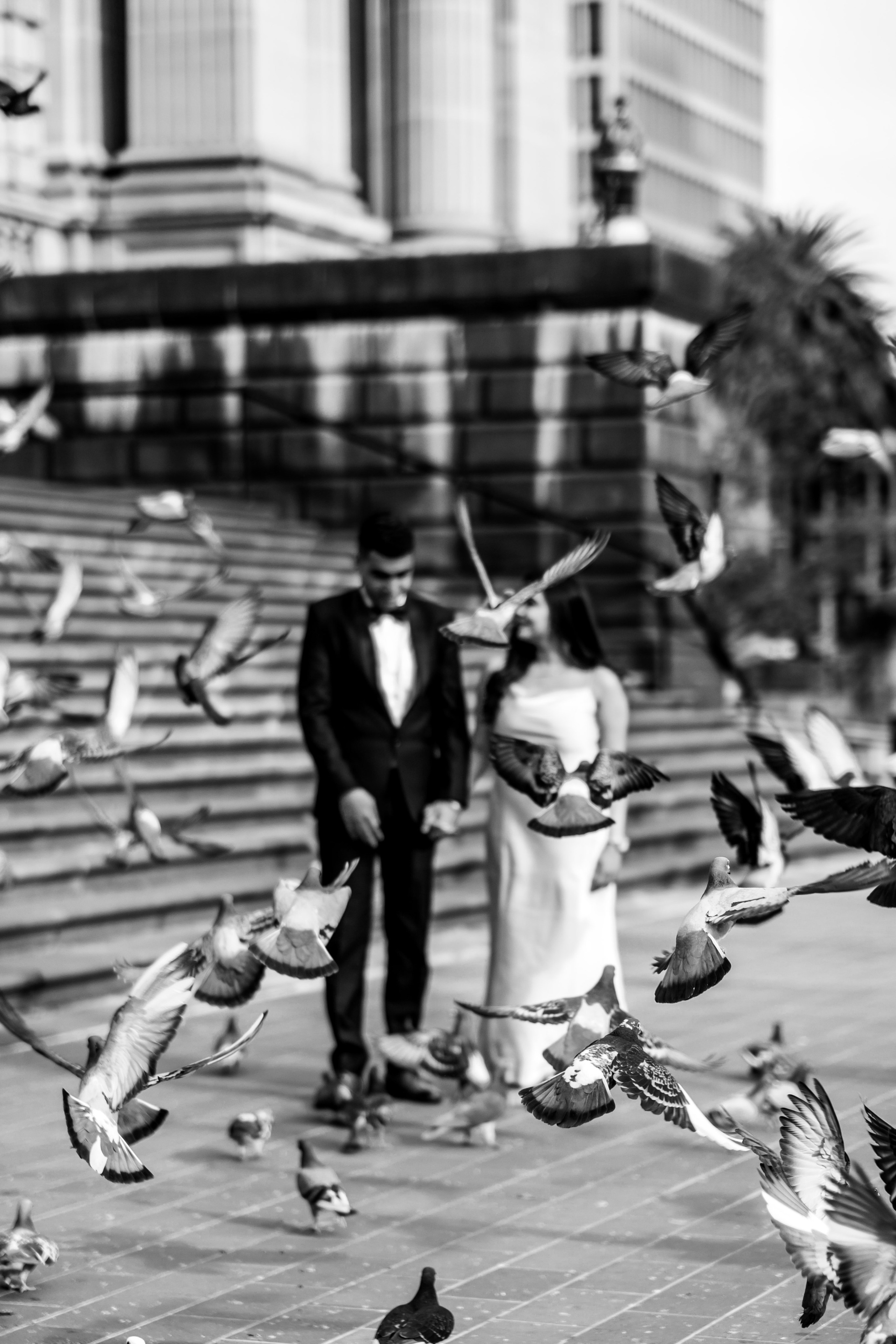 Locations. Cindy Law | Vacation & Lifestyle Photographer in Melbourne