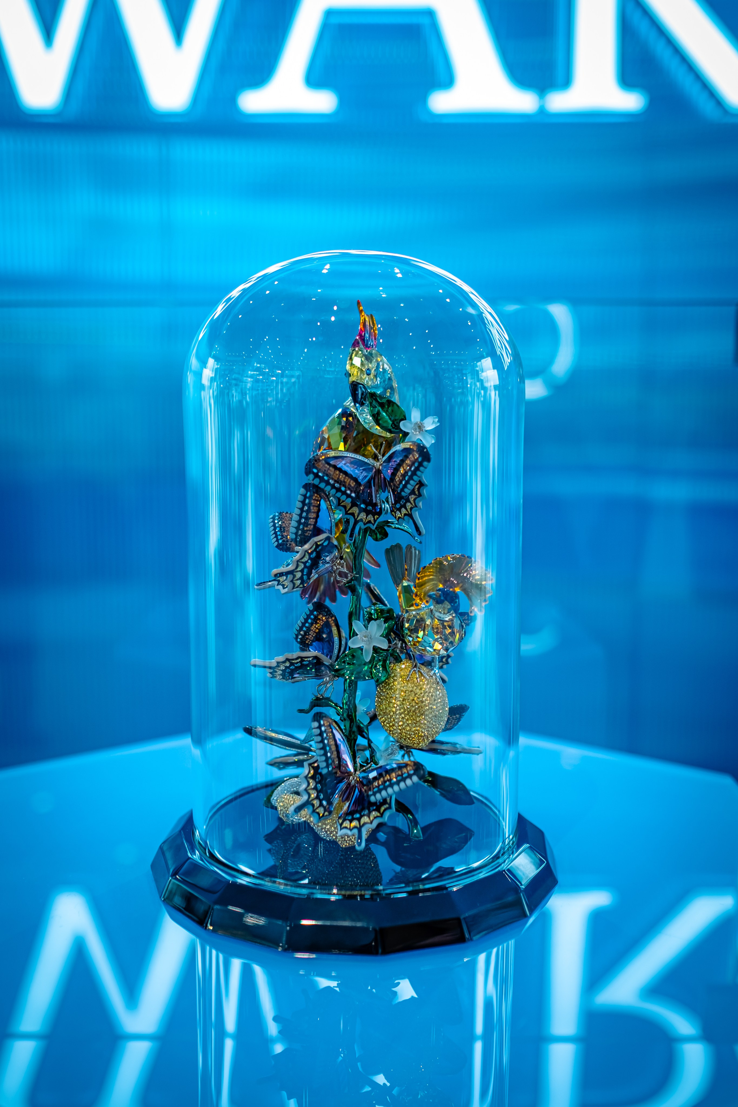 SWAROVSKI. Photographer in Seoul Dobrokvashina Natalya